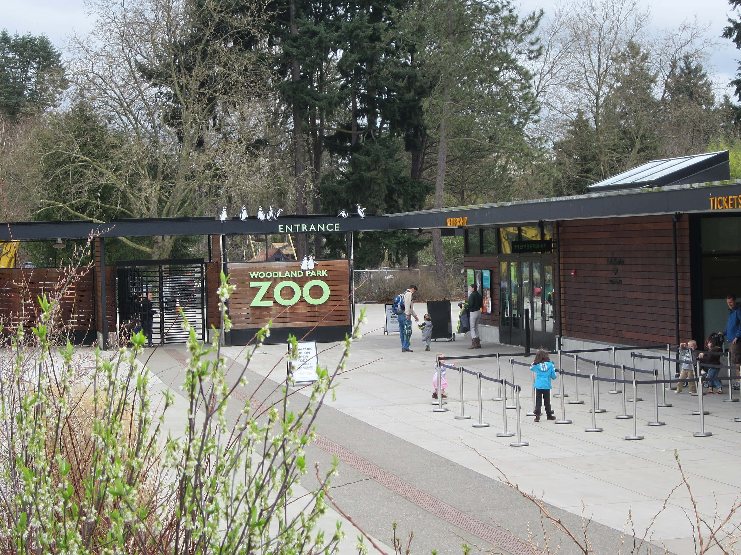 Woodland Park Zoo, modern canopy, budding trees, 2K Desktop Wallpaper