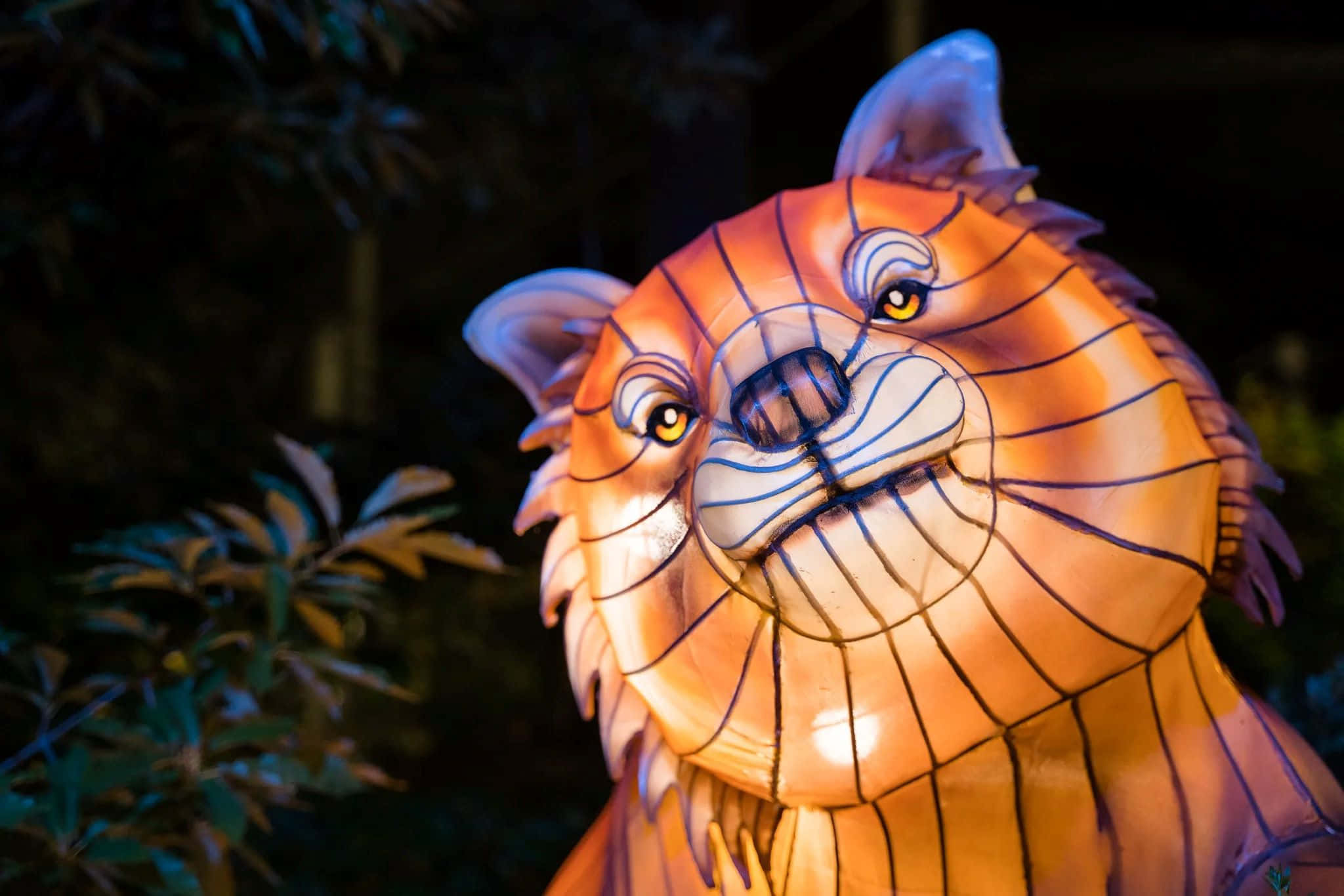 illuminated tiger lantern, Woodland Park Zoo, glowing orange, Full HD Desktop Wallpaper