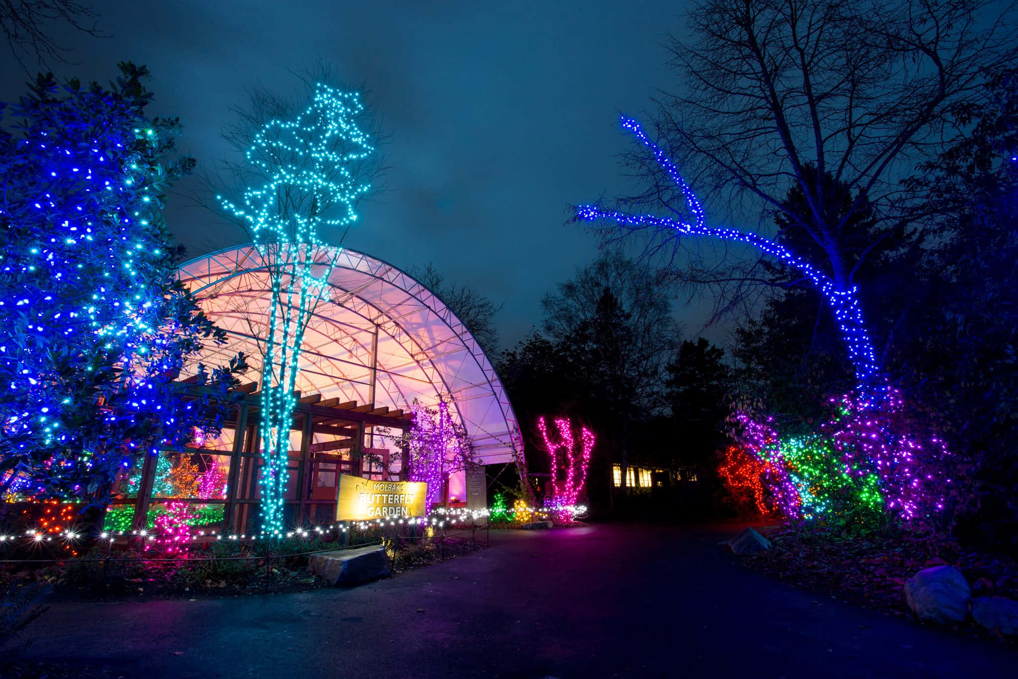 Woodland Park Zoo, blue, pink, Full HD Desktop Wallpaper
