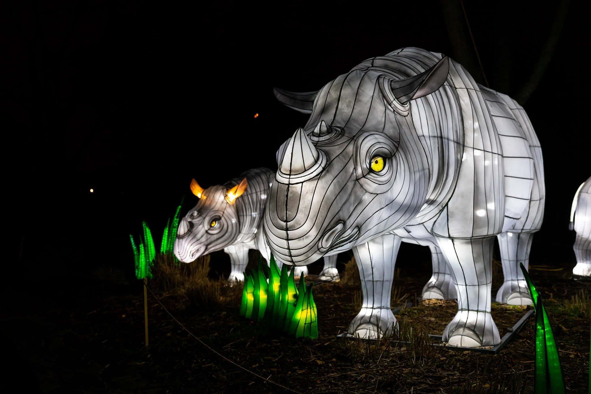 illuminated rhino lanterns, glowing yellow eyes, dark grass, Full HD Desktop Wallpaper
