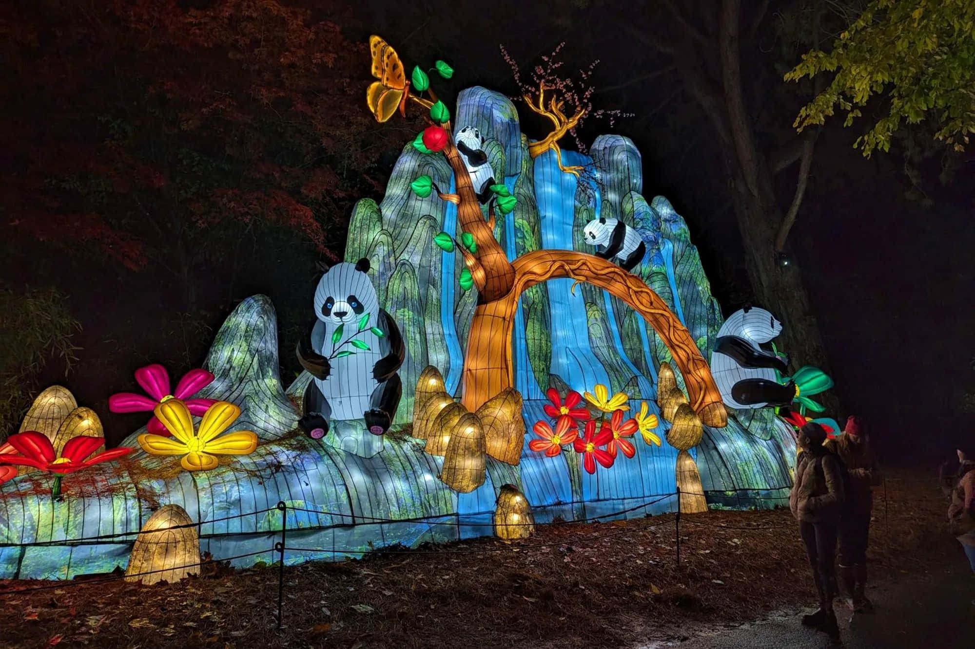 illuminated panda display, nighttime lantern display, glowing pandas, Full HD Desktop Wallpaper