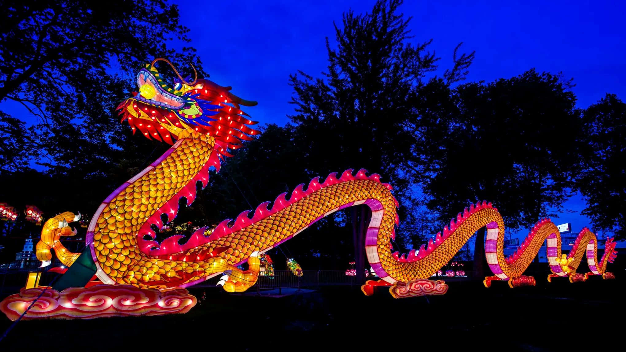illuminated dragon lantern, twilight park, glowing scales, Full HD Desktop Wallpaper