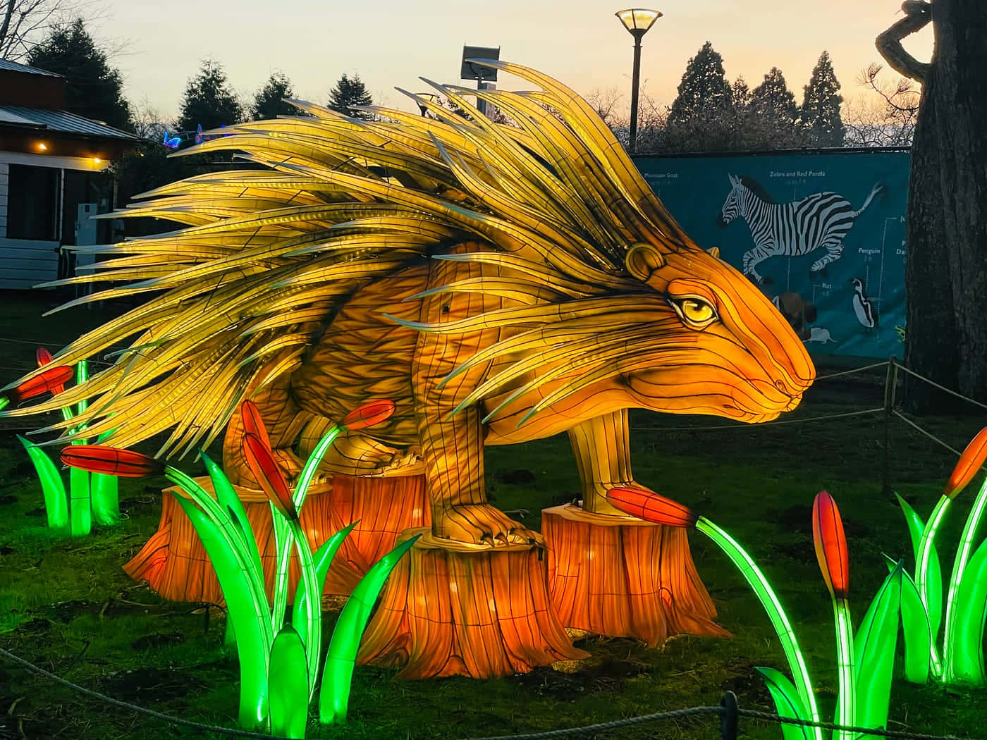 illuminated porcupine sculpture, Woodland Park Zoo, golden, HD Desktop Wallpaper