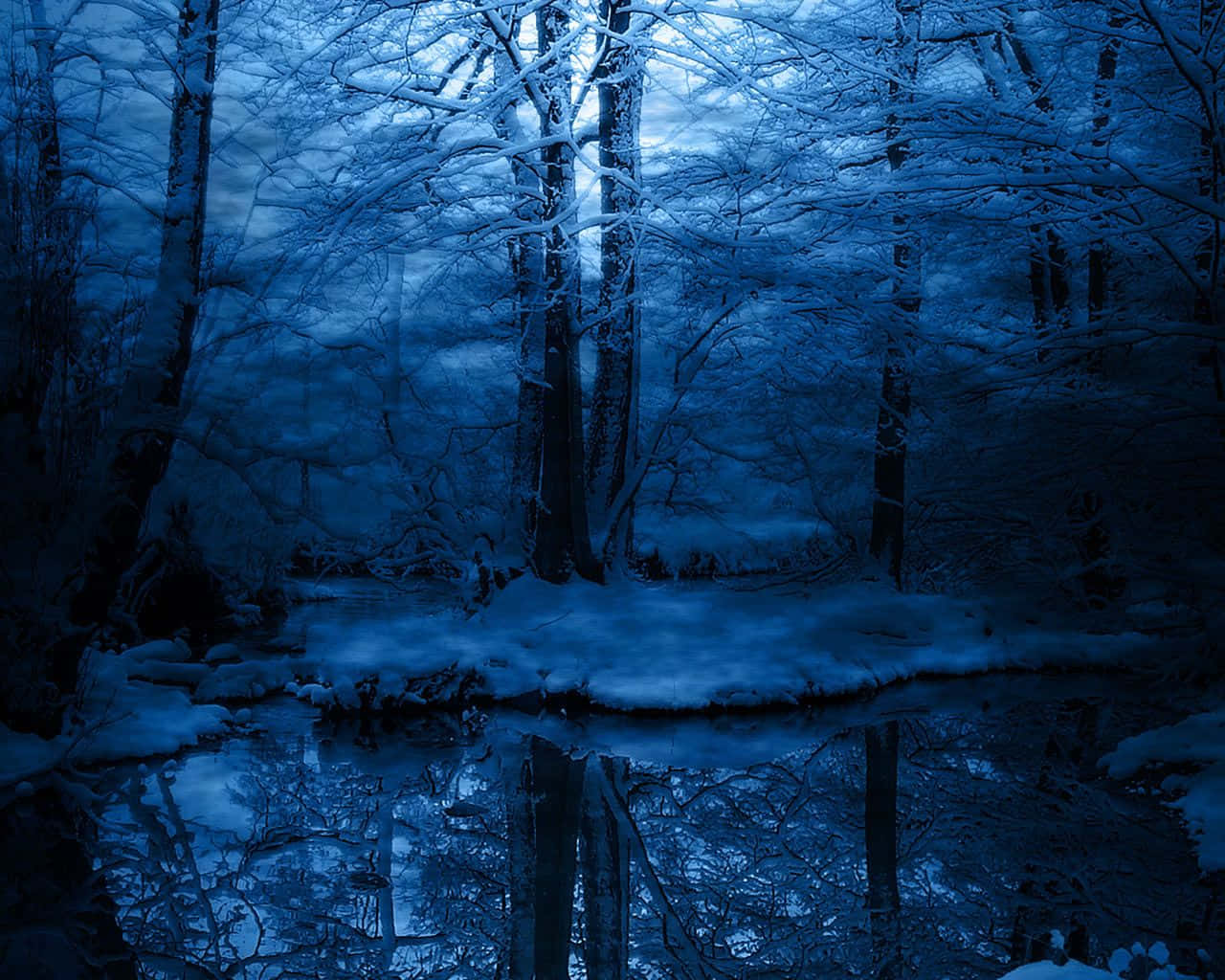 Enchanted Blue Forest, Winter Night, snow-covered trees, HD Desktop Wallpaper