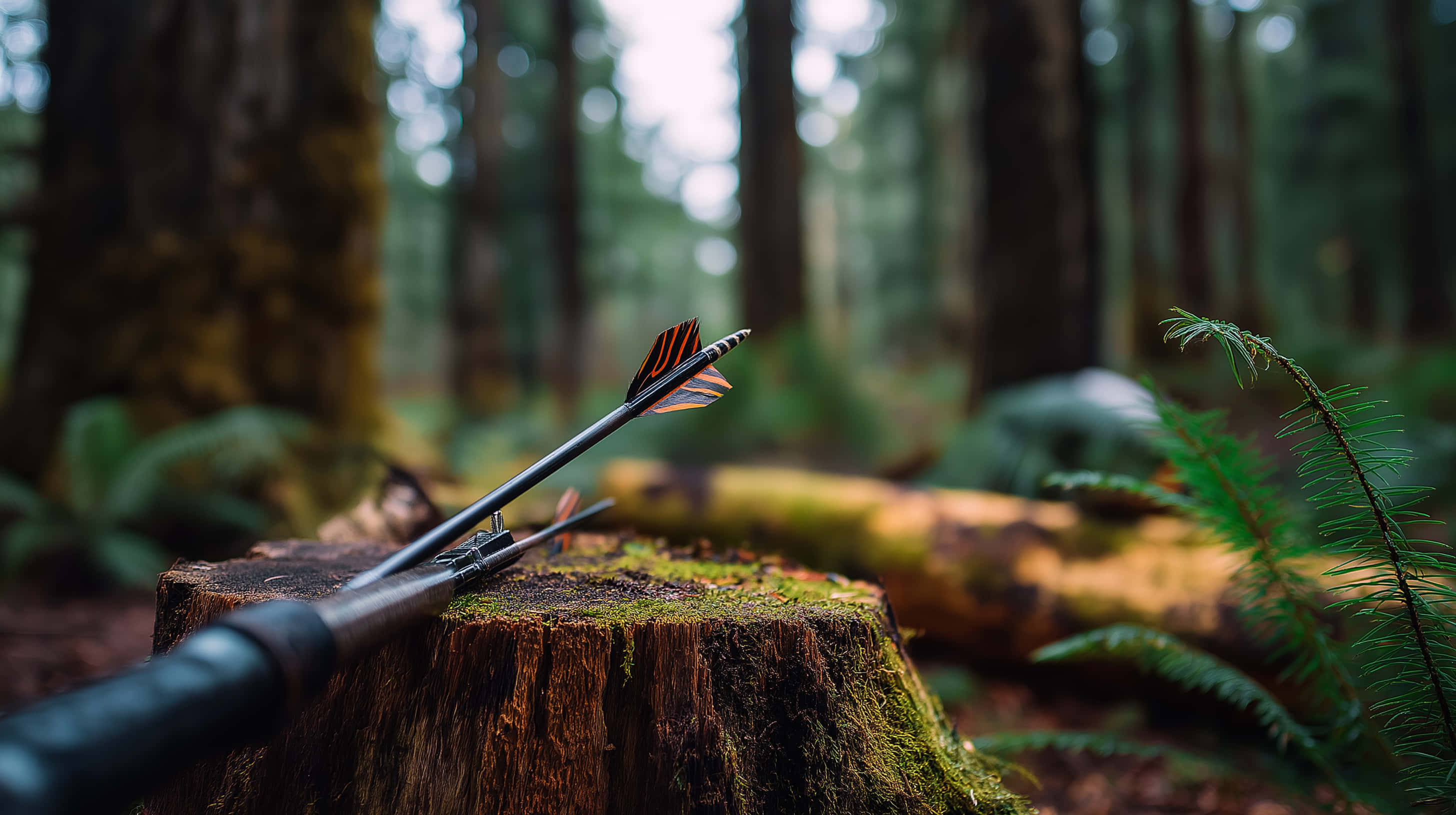 archery arrow rest, mossy tree stump, misty forest, 2K Desktop Wallpaper