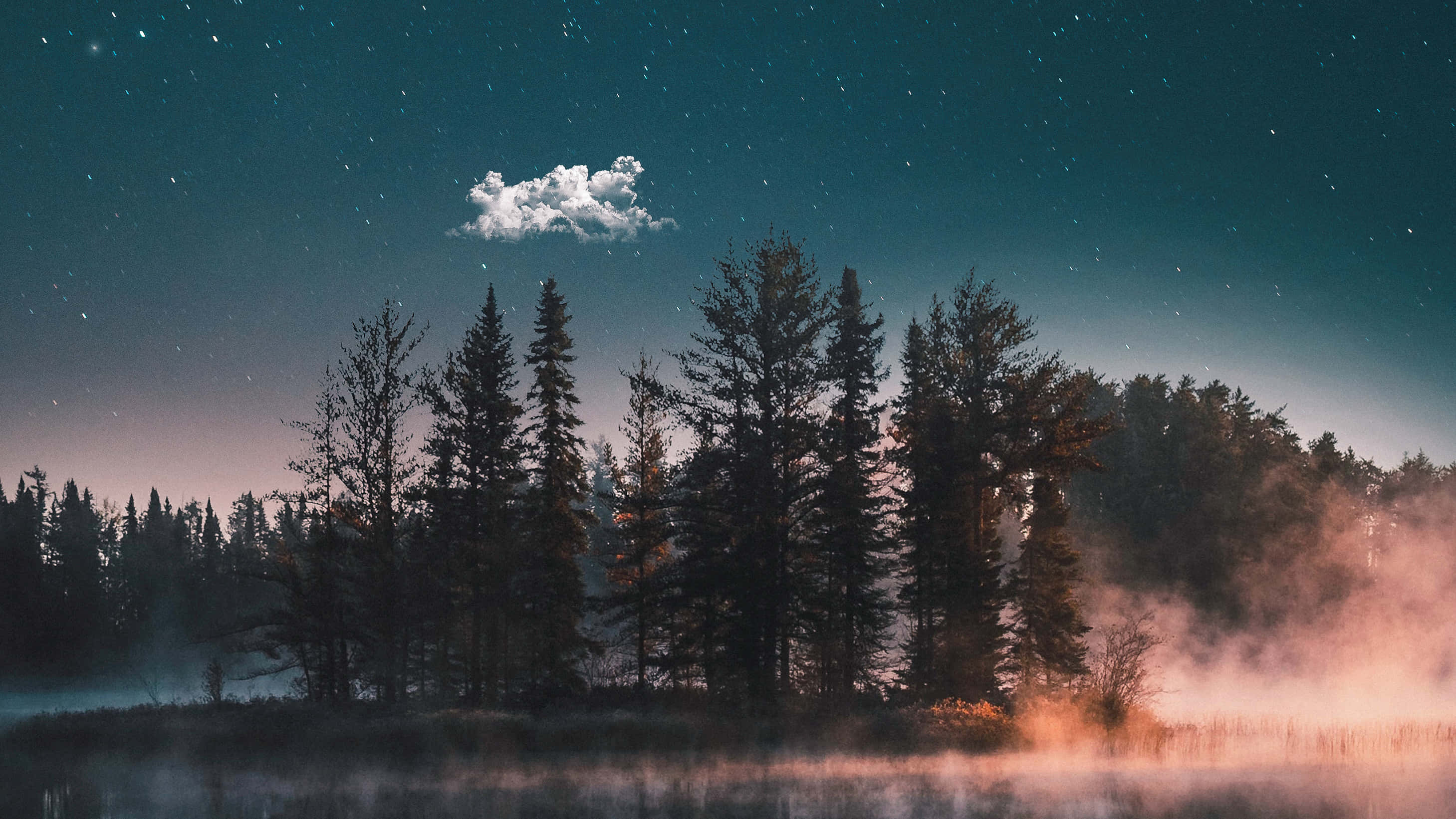 misty lake, dawn, silhouetted pine trees, 2K Desktop Wallpaper