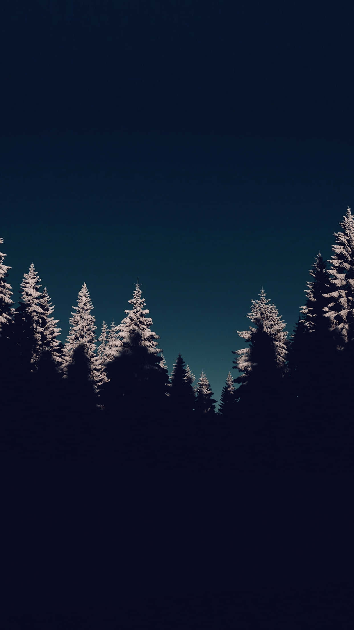enchanted nighttime forest snowscape, snow-laden pine trees, deep teal twilight sky, Full HD Phone Wallpaper