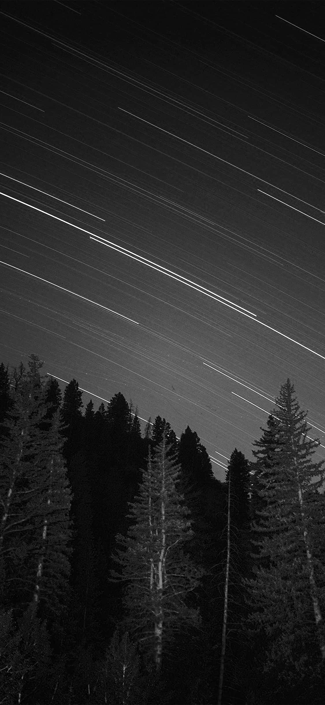 Starry Night Sky, forest, dense forest, Full HD Phone Wallpaper