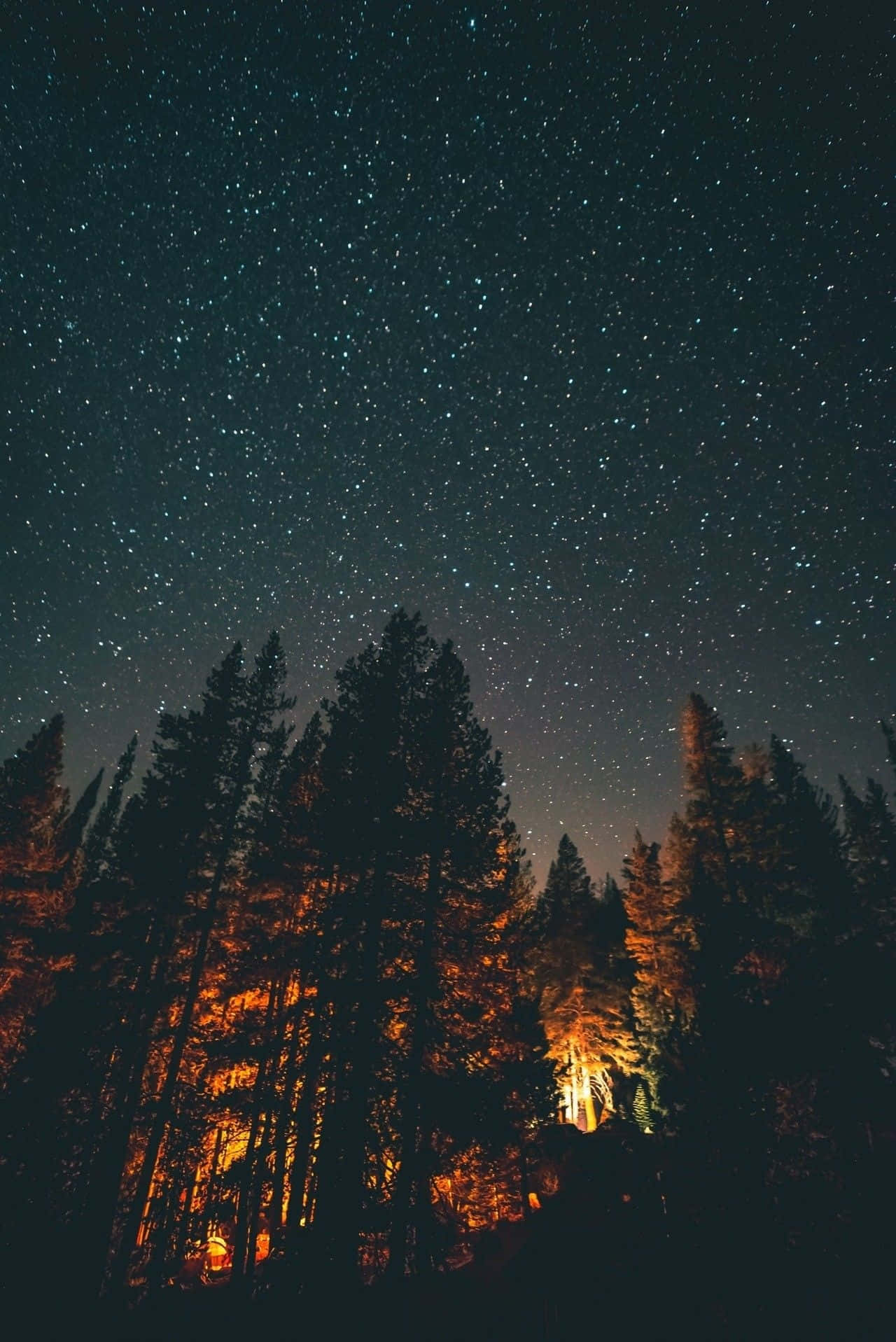 Starry Night, forest, campfire, HD Phone Wallpaper