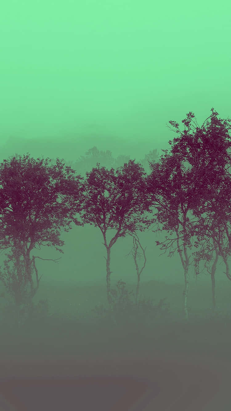 misty forest, gradient green sky, purple foliage, HD Phone Wallpaper