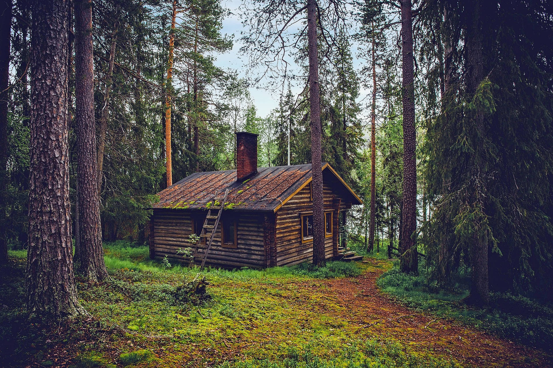 quaint cabin, wooden cabin, towering pine trees, Full HD Desktop Wallpaper