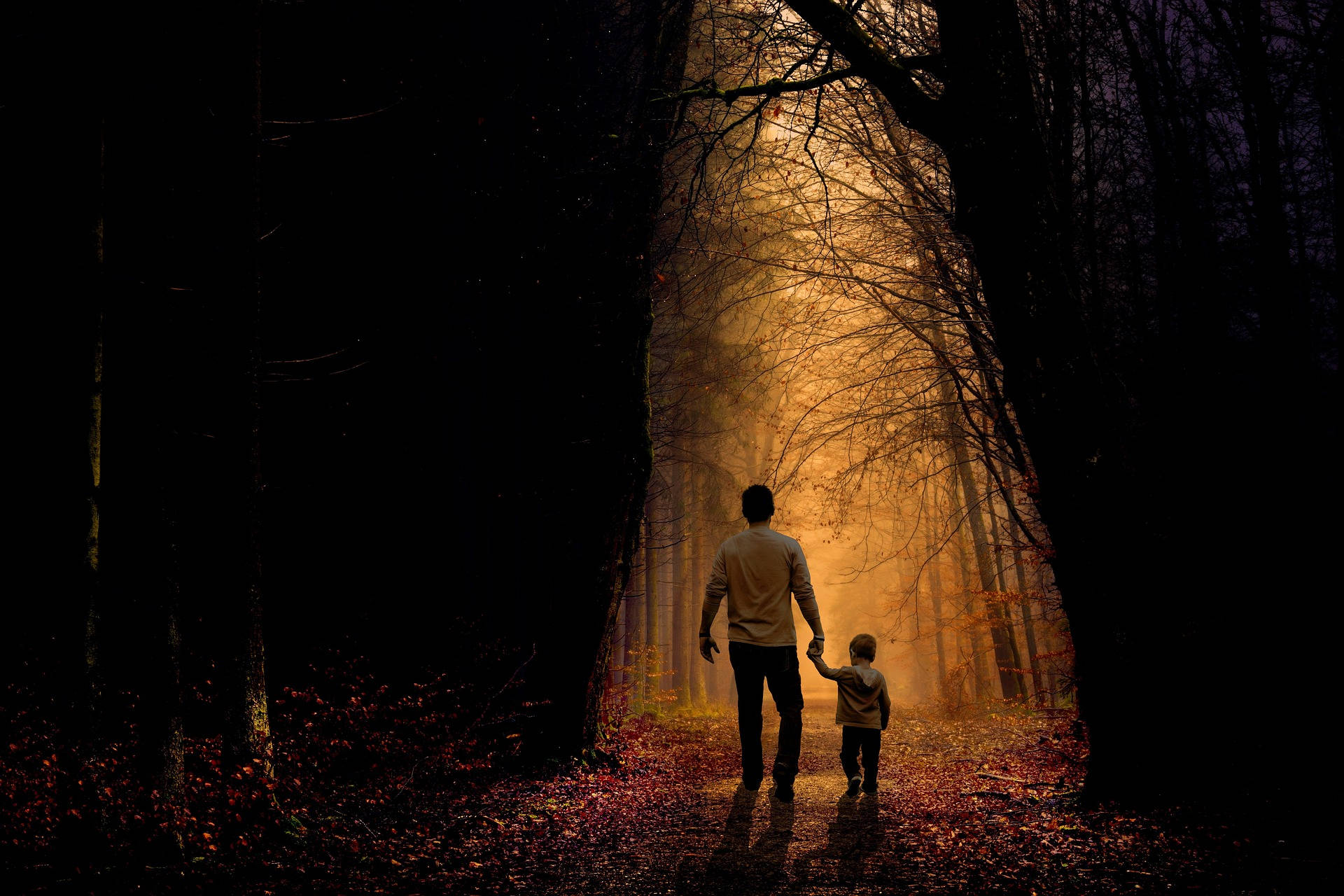 father and son, dark forest, golden light, Full HD Desktop Wallpaper