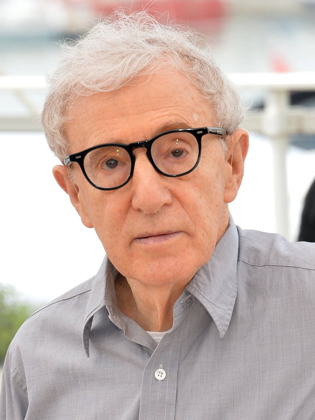 Woody Allen, 69th Cannes Film Festival, gray button-up shirt, HD Phone Wallpaper