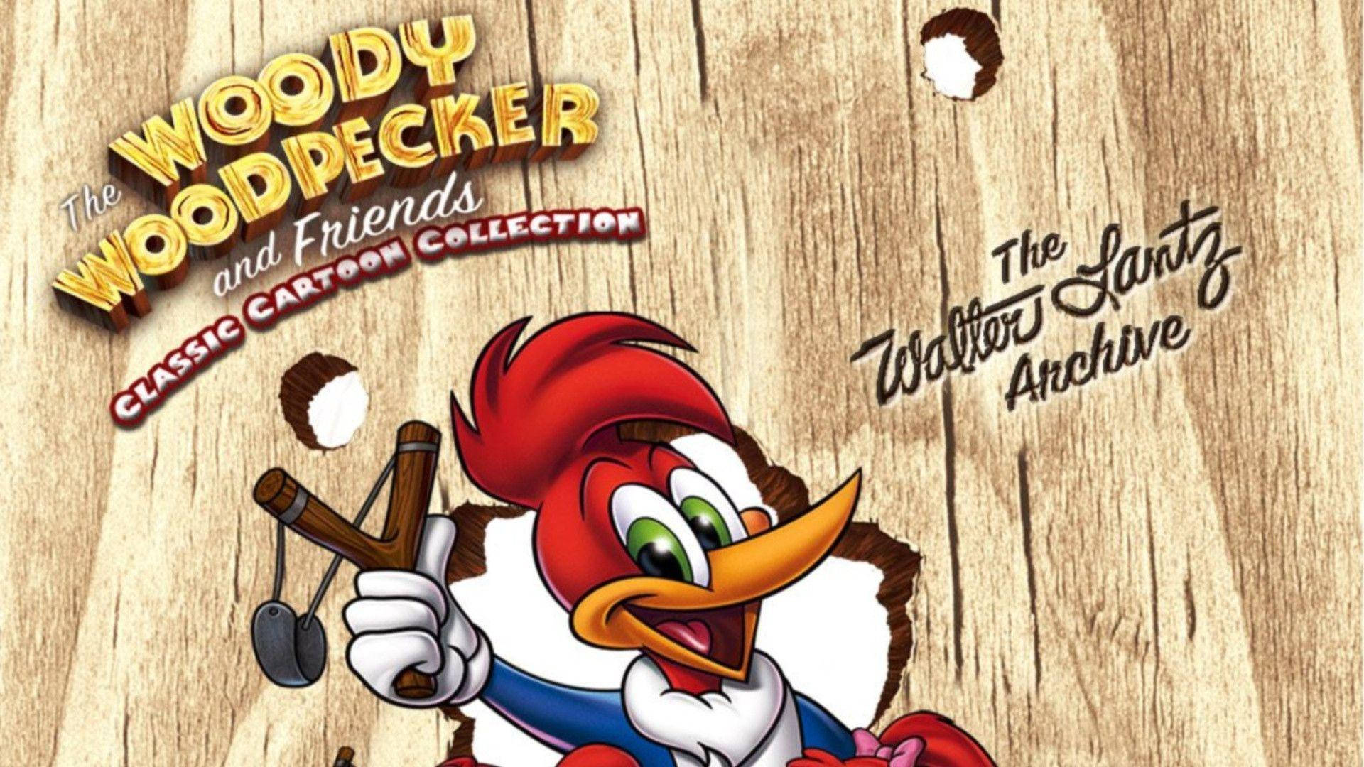 Woody Woodpecker, slingshot, cartoon text, Full HD Desktop Wallpaper