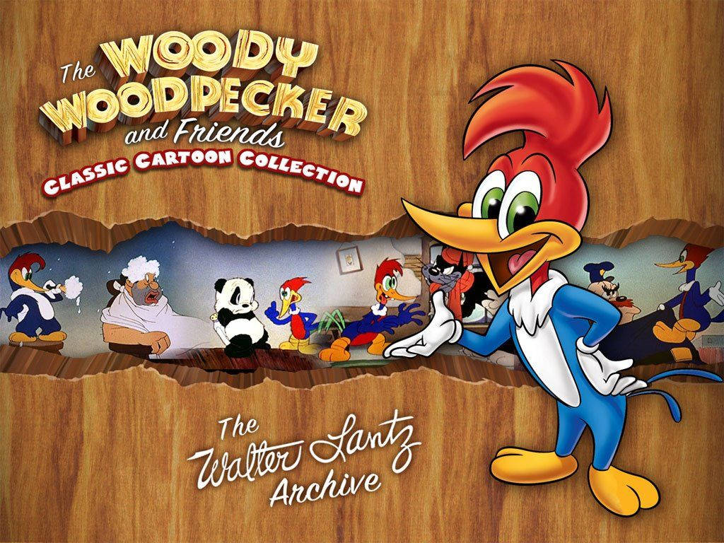 Woody Woodpecker, cartoon friends, classic animated collection cover, SD Desktop Wallpaper