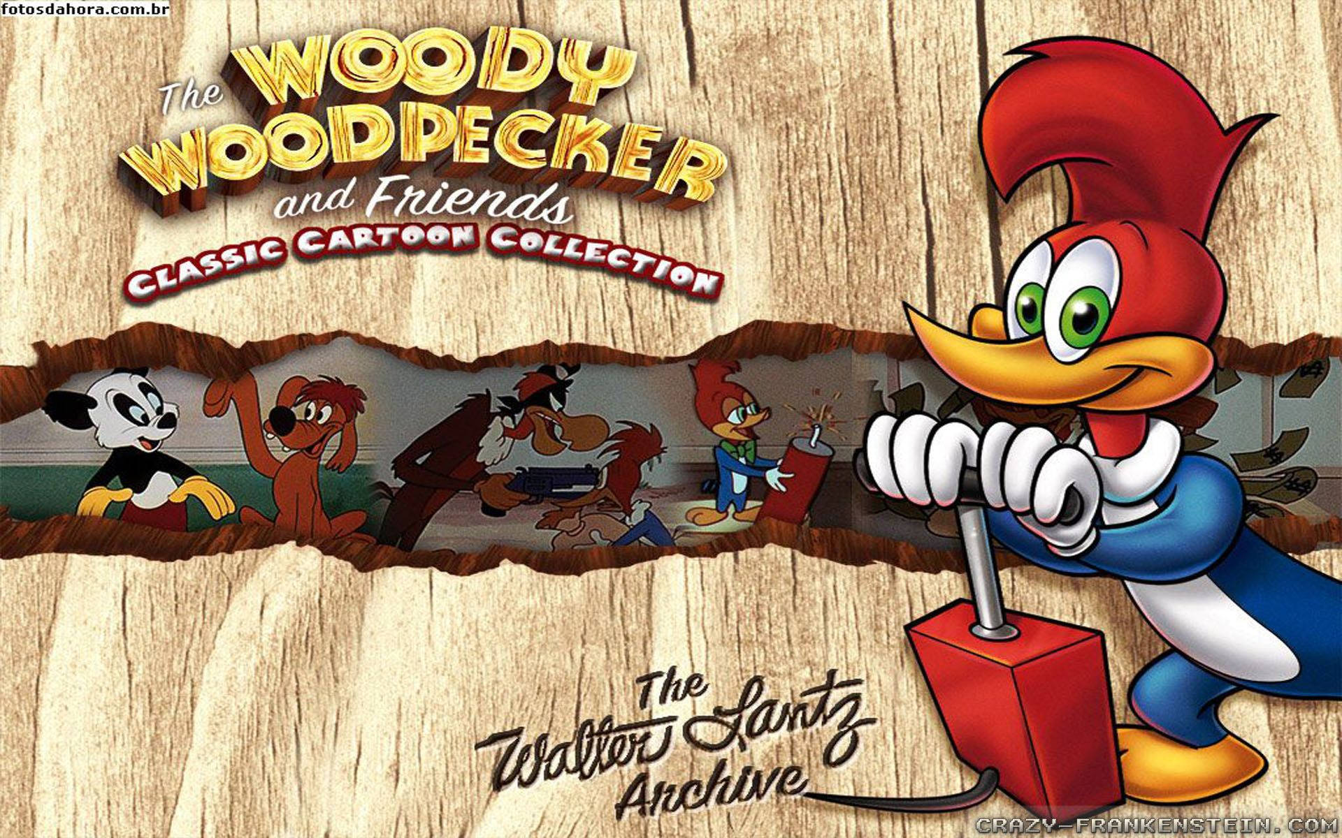 Woody Woodpecker, wooden wall, classic cartoon collection, Full HD Desktop Wallpaper