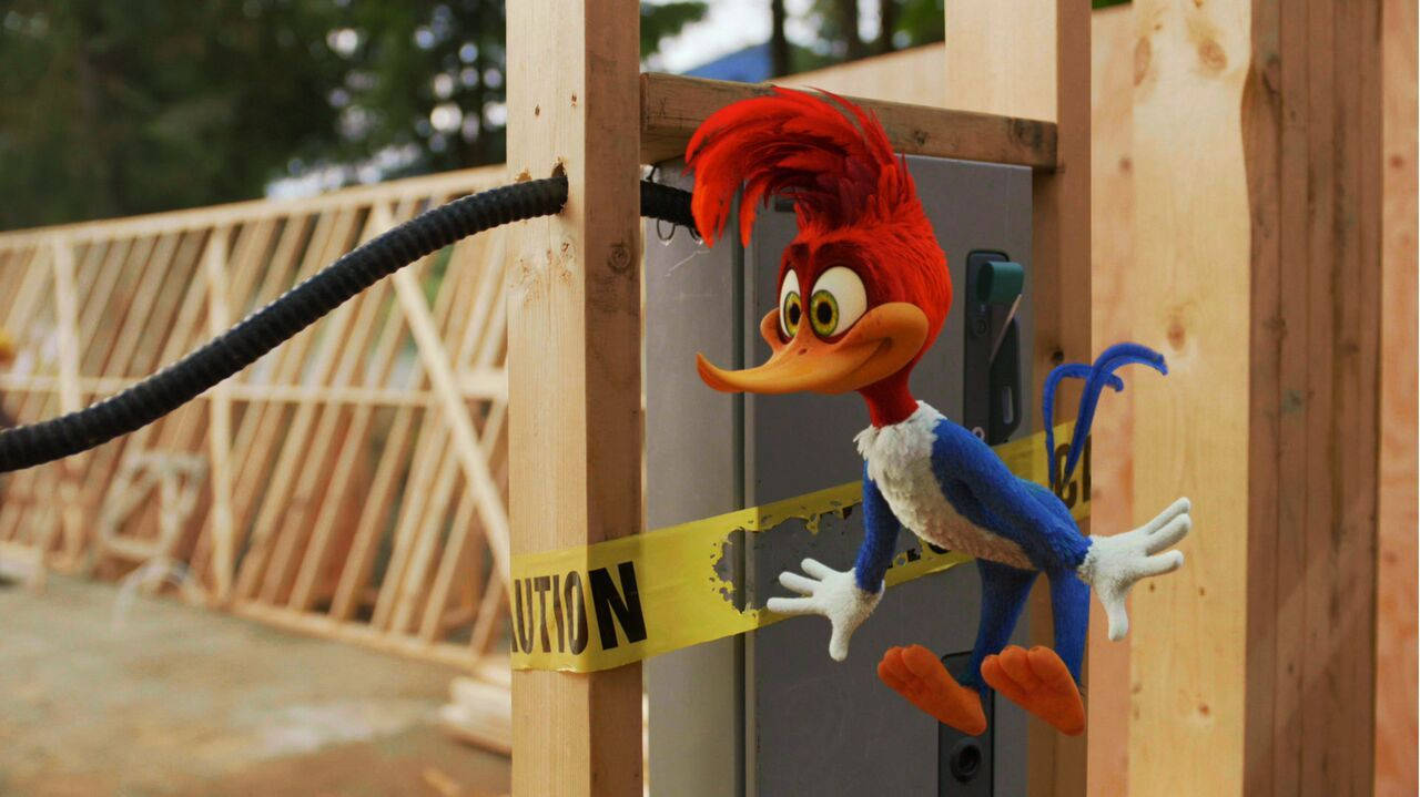 Woody Woodpecker, red feathers, blue suit, HD Desktop Wallpaper