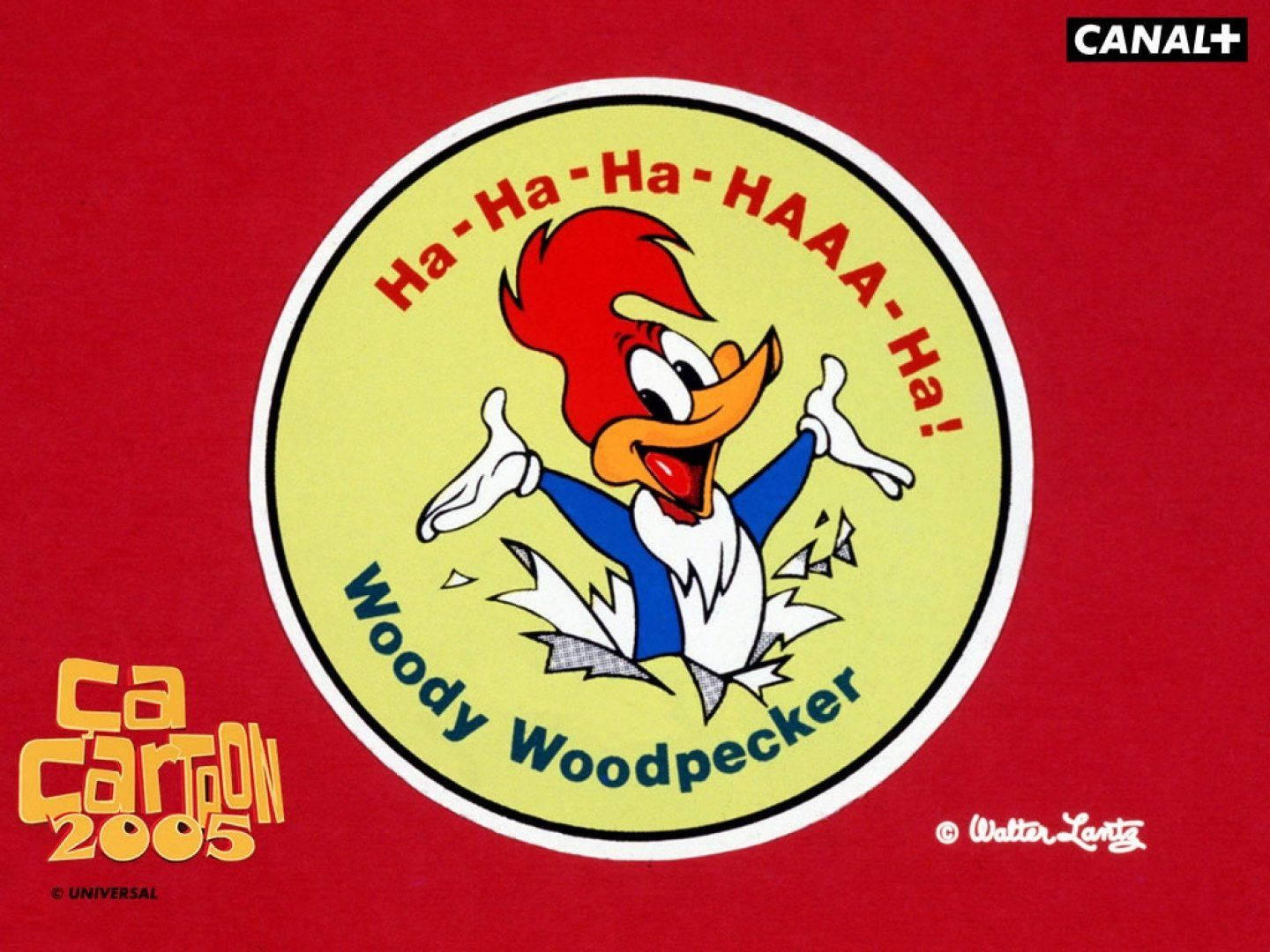 Woody Woodpecker, yellow circle, red background, HD Desktop Wallpaper