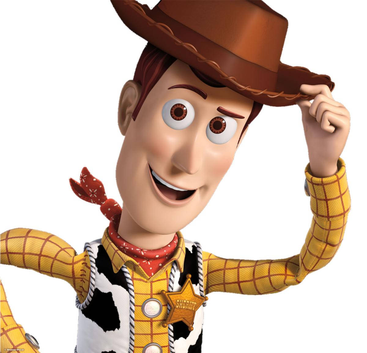 Woody, brown hat, red bandana, SD Desktop Wallpaper