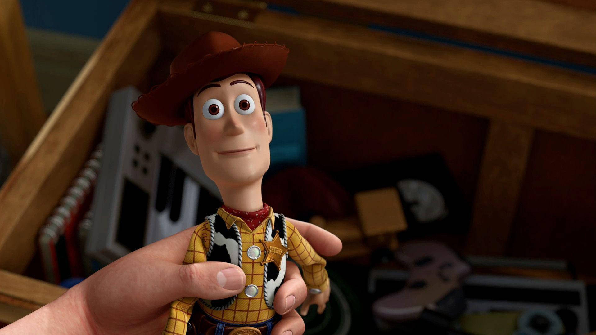 Woody, toy box, wooden, Full HD Desktop Wallpaper