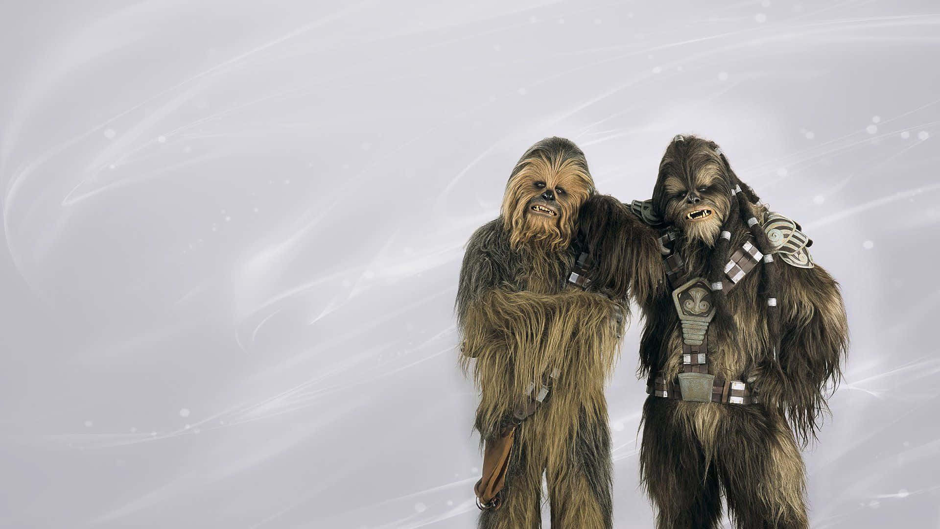 Wookiee, diary, swirling silver and white cosmic backdrop, Full HD Desktop Wallpaper