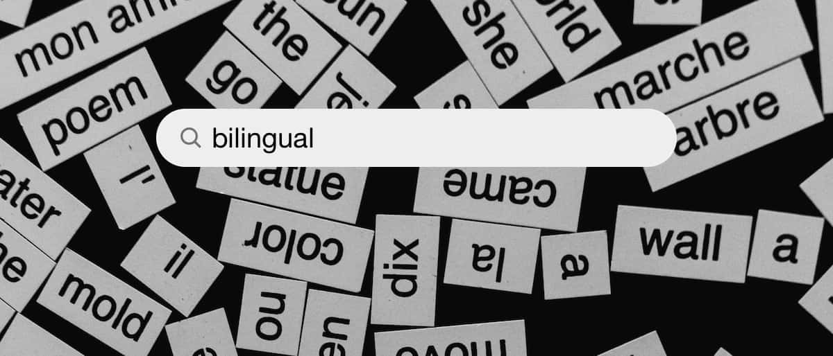 bilingual search bar, black and white, French, SD Desktop Wallpaper