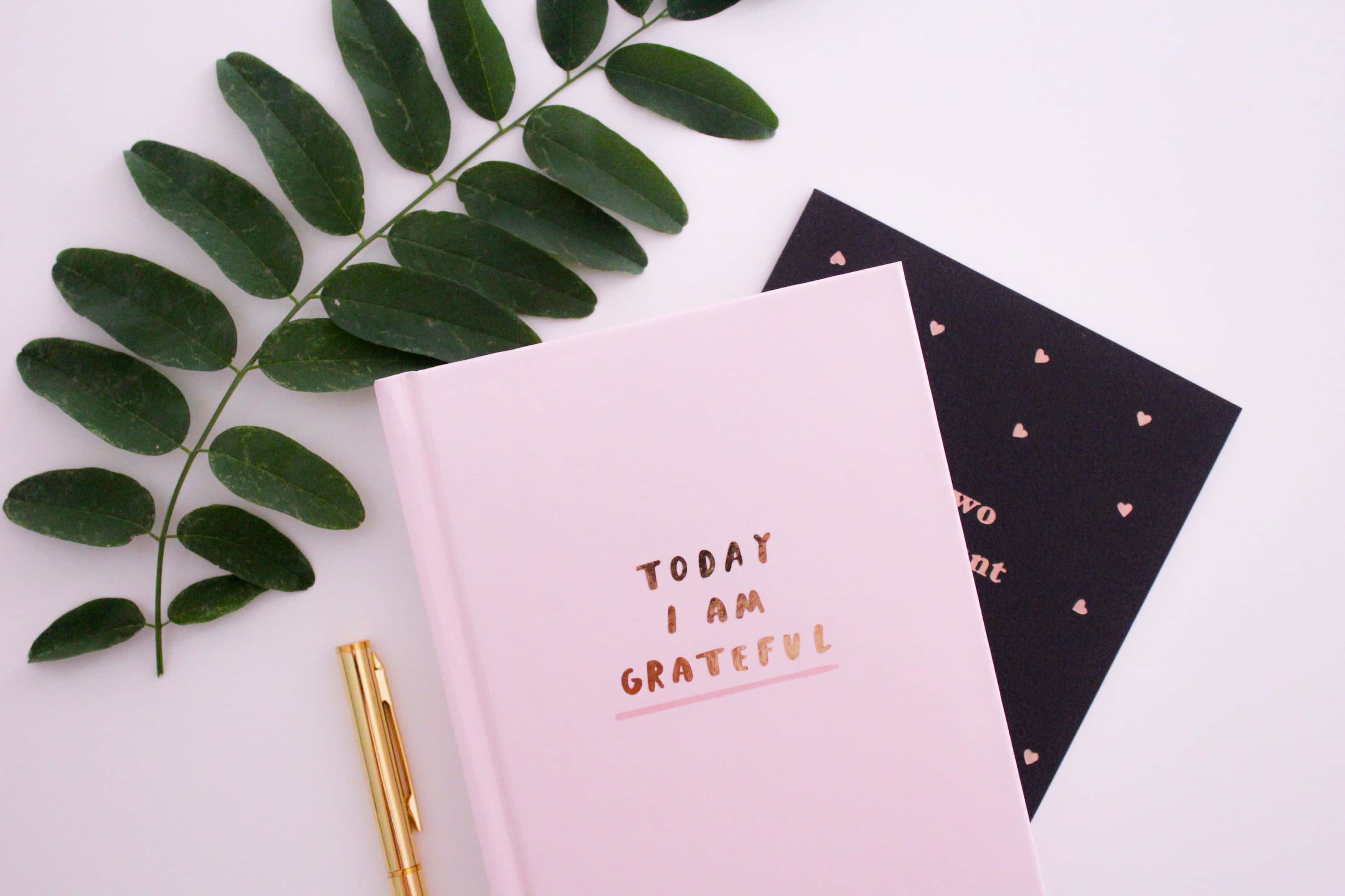 gratitude planner, pink gratitude journal, gold foil text, 2K Desktop Wallpaper