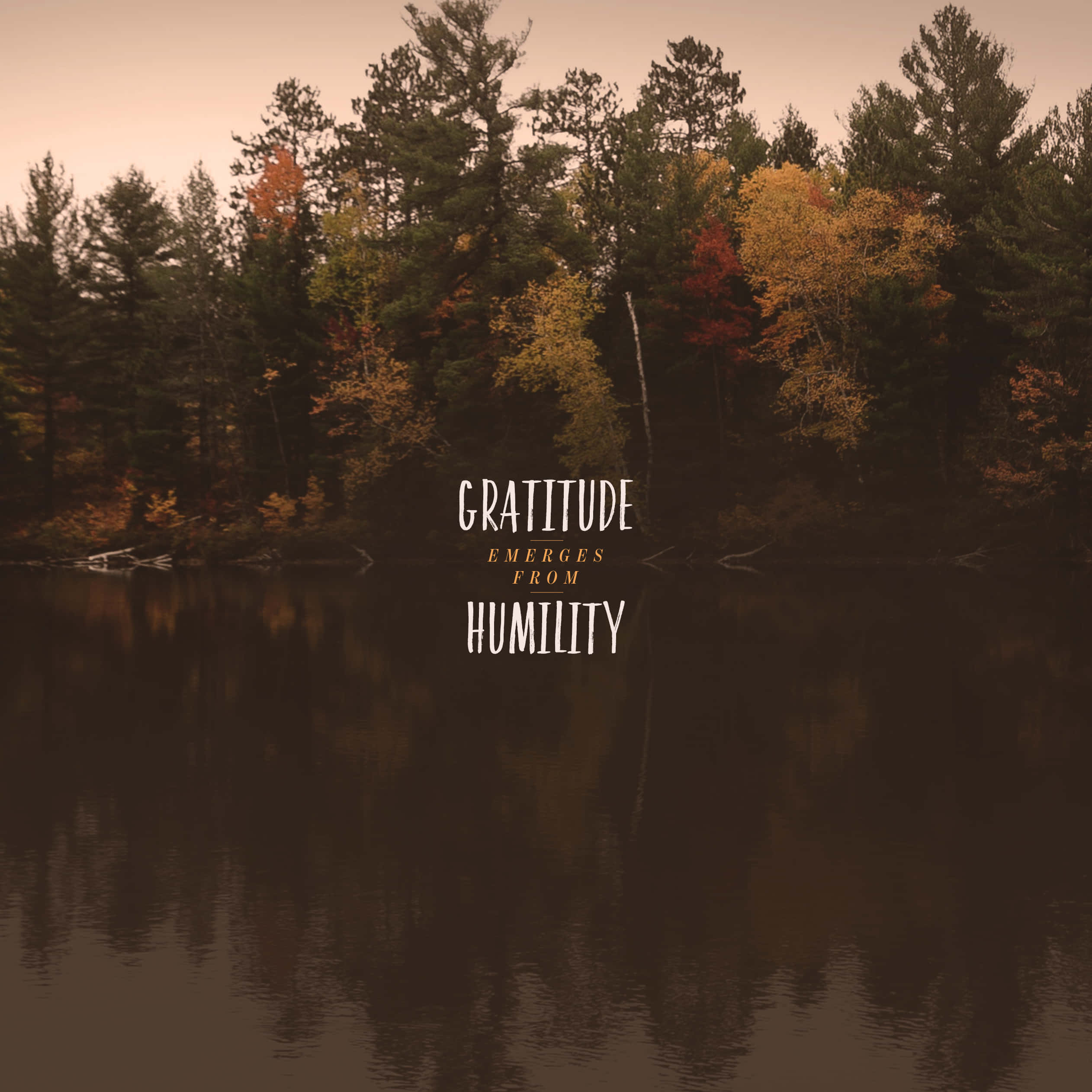 gratitude quote, autumn forest, calm lake, Full HD Desktop Wallpaper