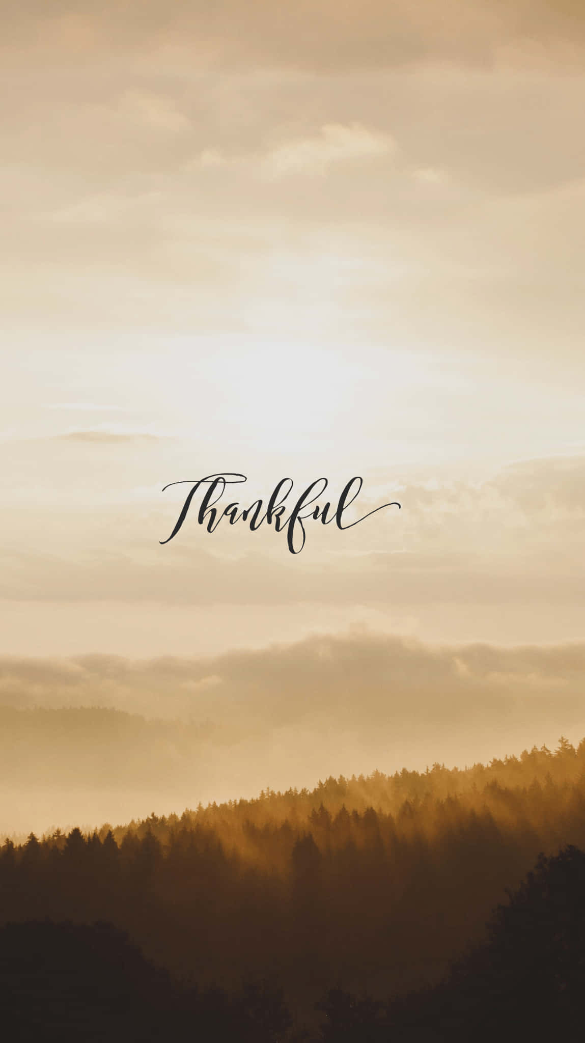 Gratitude Gold Sunset, golden sunrise, misty forest hills, Full HD Phone Wallpaper