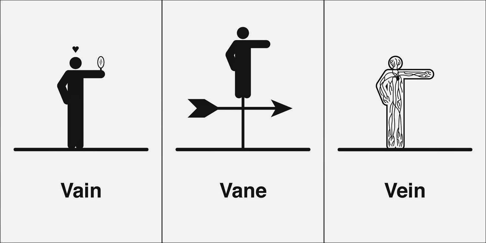 Vain, Vane, Vein, Full HD Desktop Wallpaper