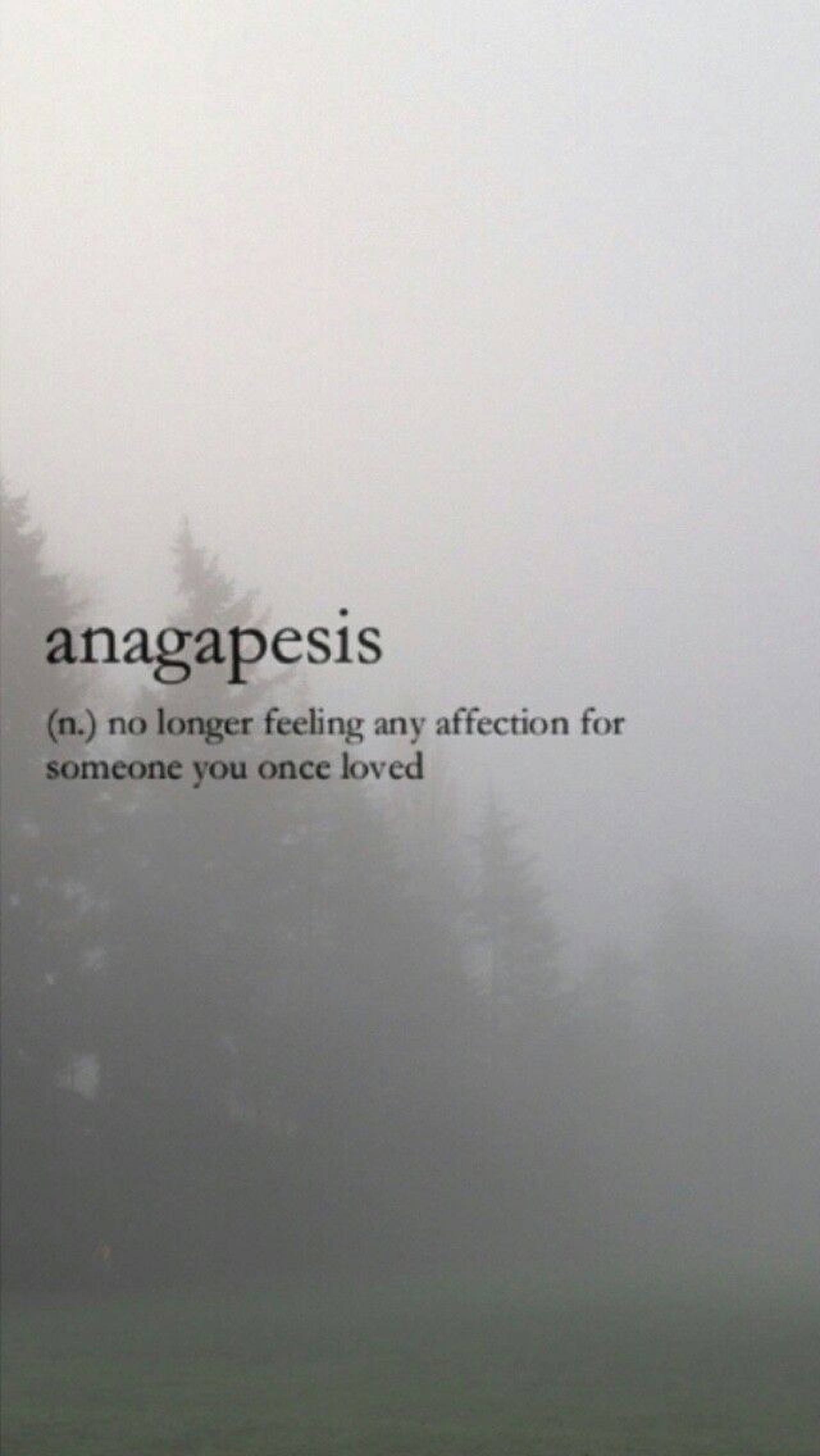 anagapesis, misty forest, text, Full HD Phone Wallpaper