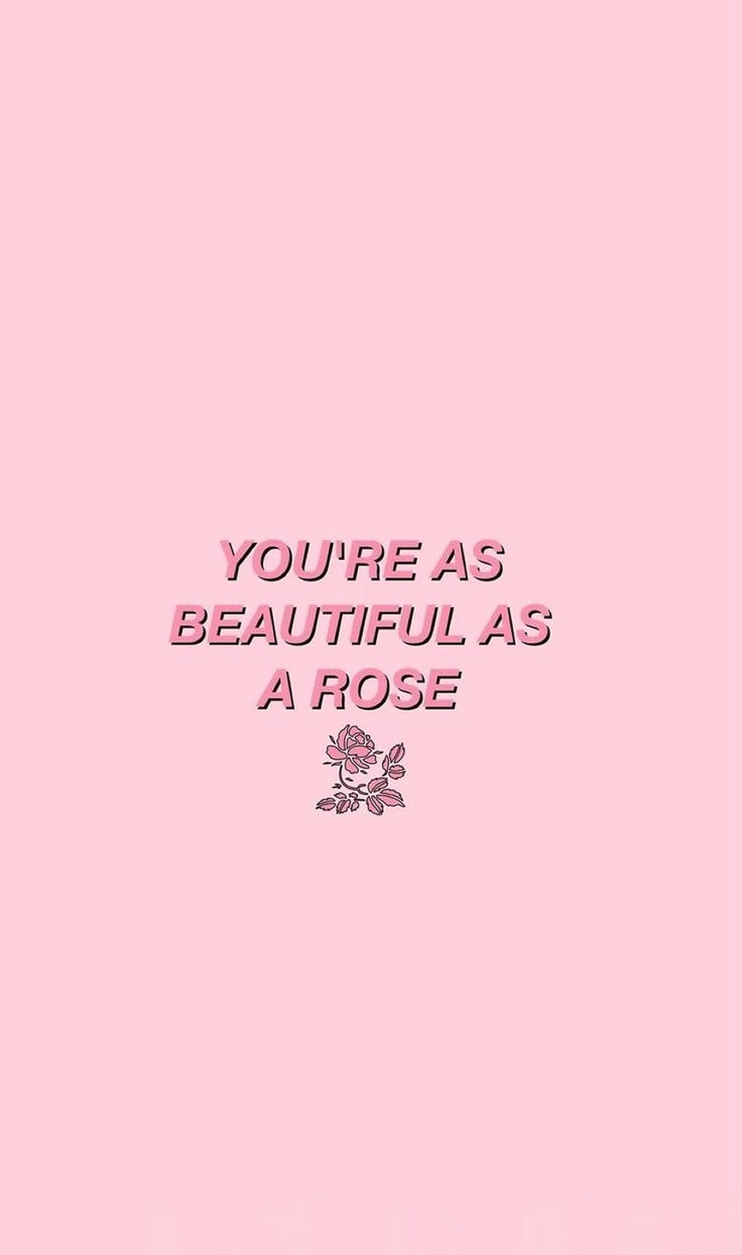 pink rose aesthetic, soft pink background, you're as beautiful as a rose, Full HD Phone Wallpaper
