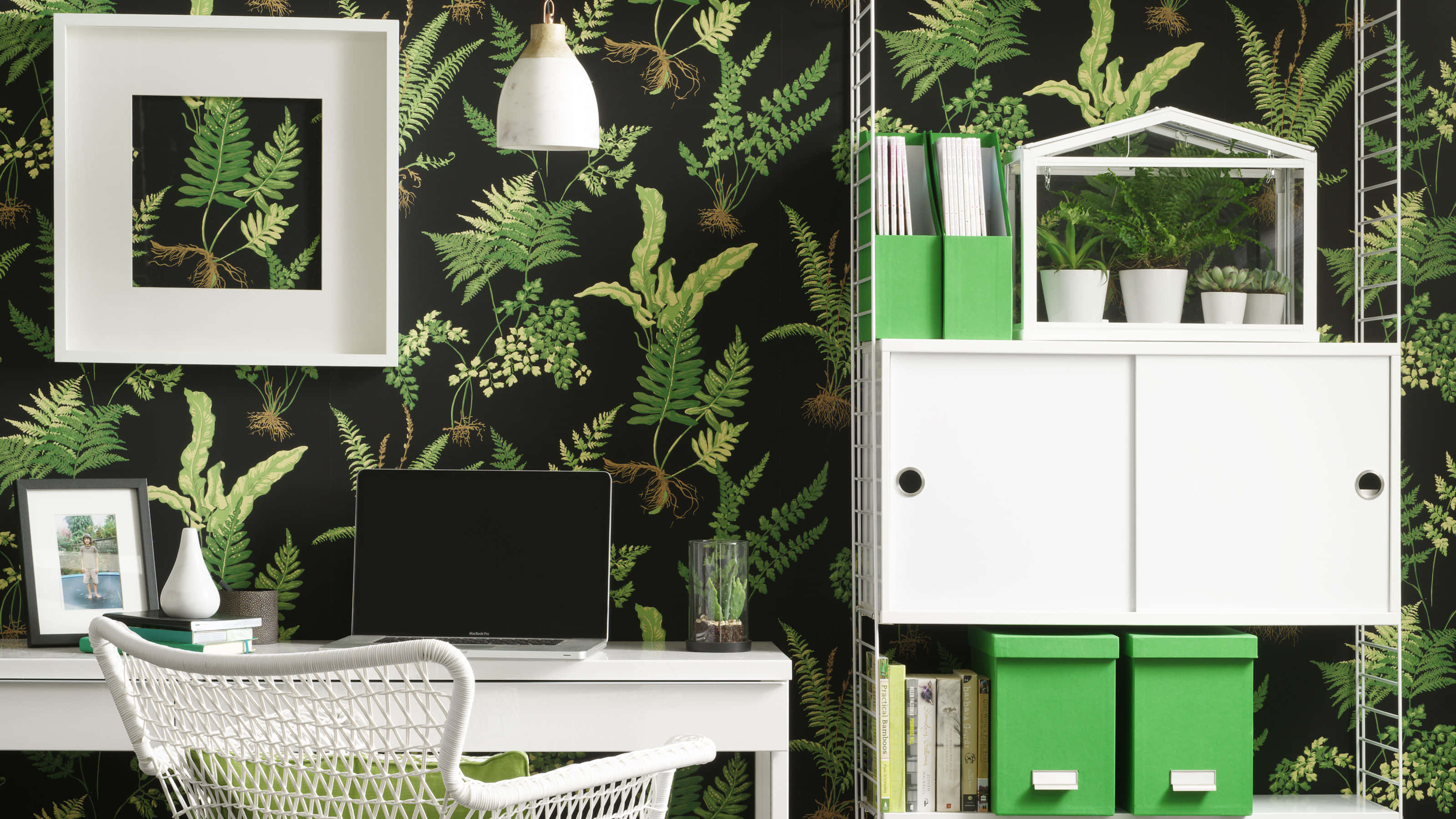 black wall, lush green fern wallpaper, white furniture, 2K Desktop Wallpaper