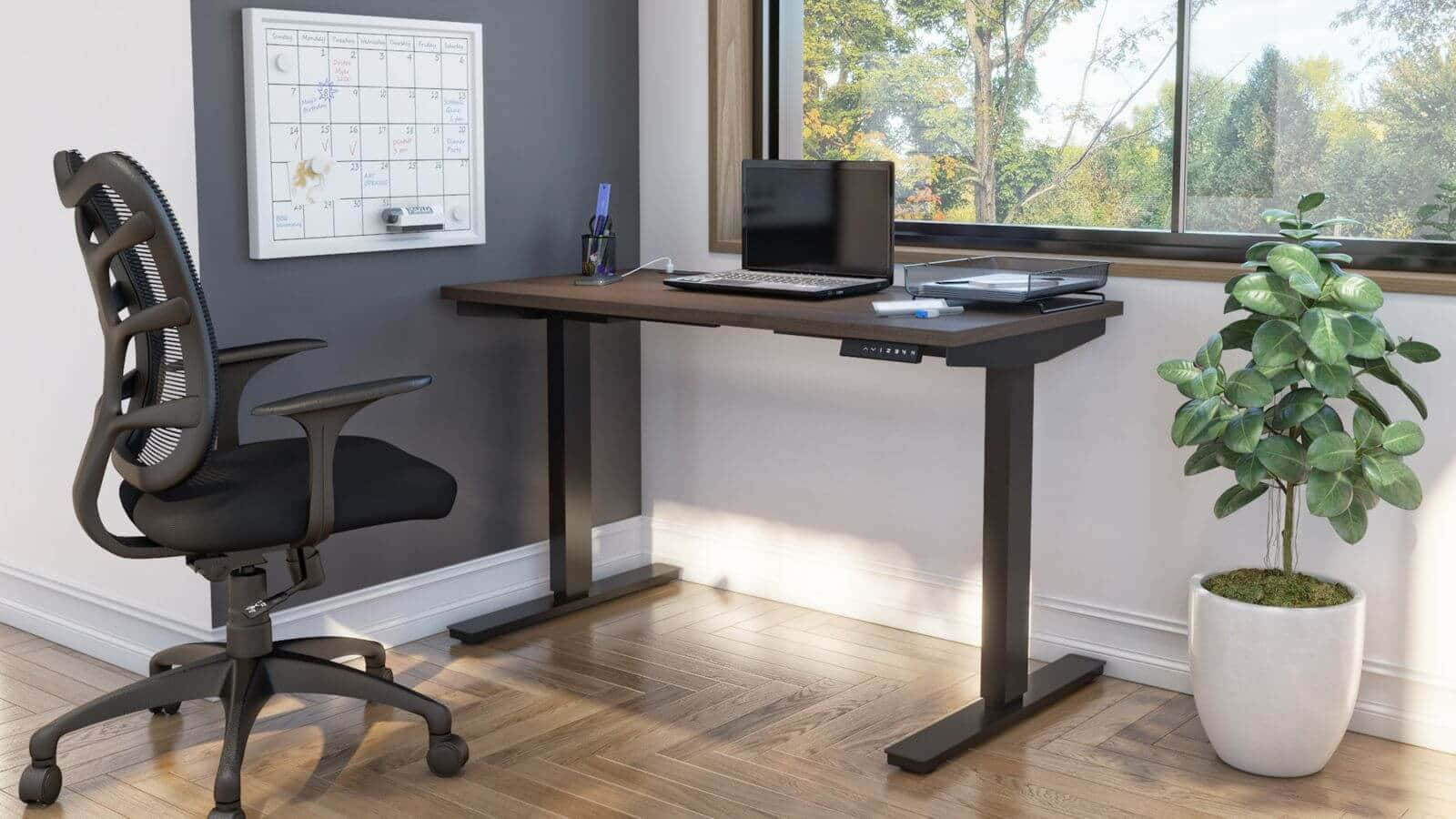 adjustable standing desk, ergonomic chair, potted plant, HD Desktop Wallpaper