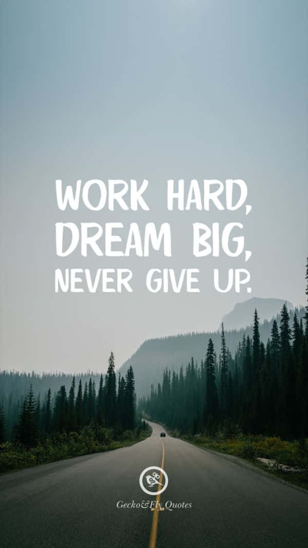 work hard, misty pine forests, distant mountains, SD Phone Wallpaper