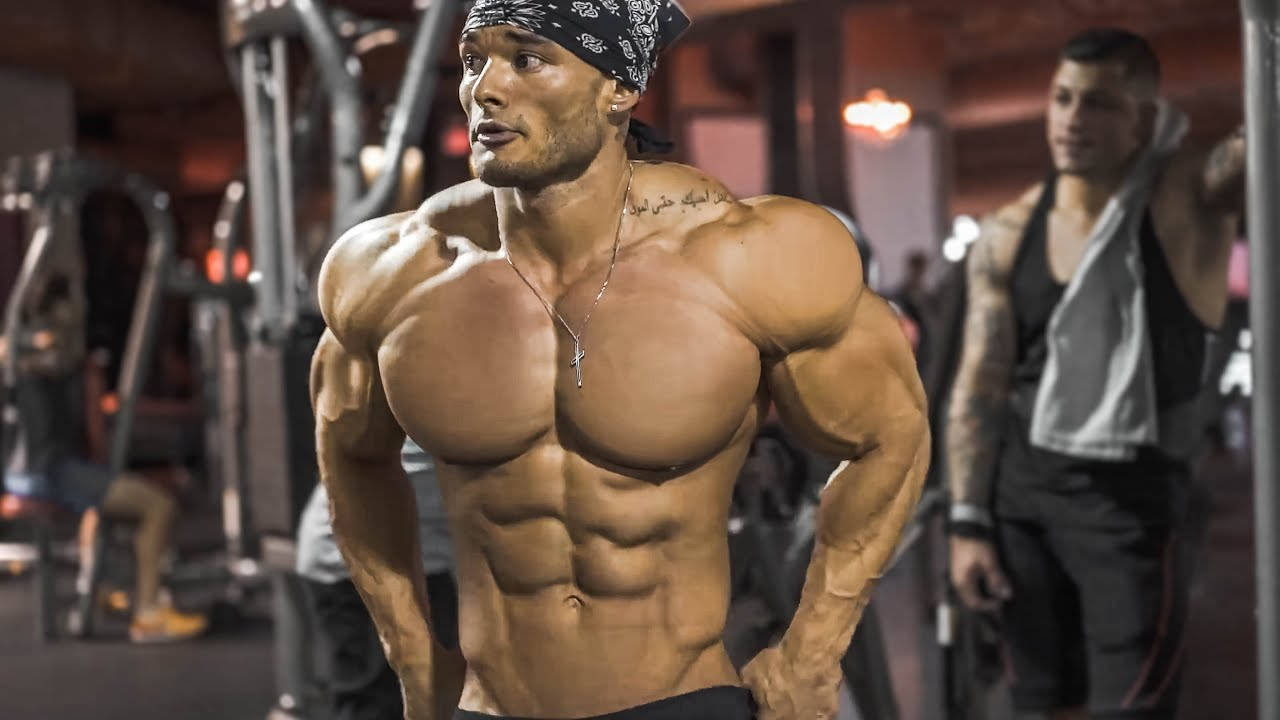 bodybuilder, gym, muscular man, HD Desktop Wallpaper