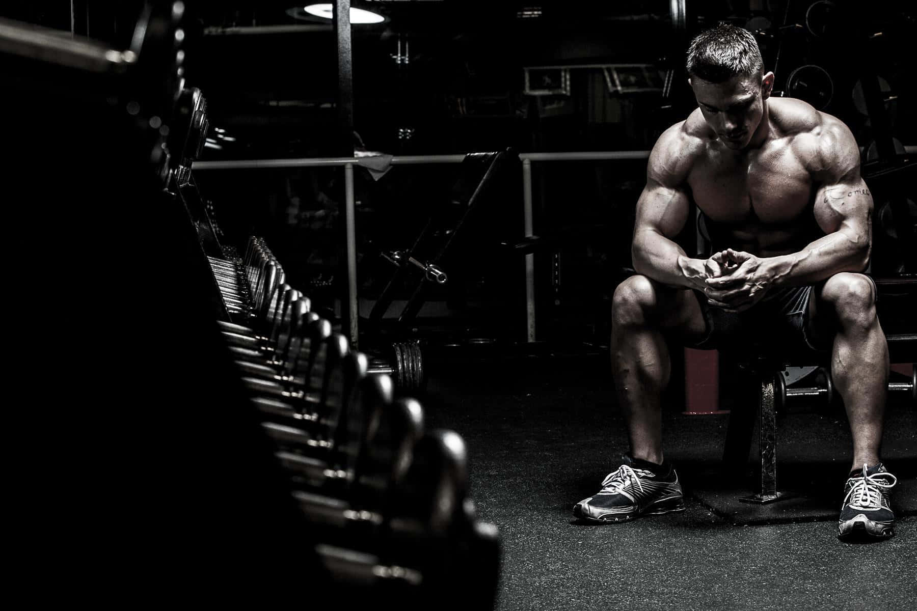 muscular man, gym bench, dimly lit gym, HD Desktop Wallpaper