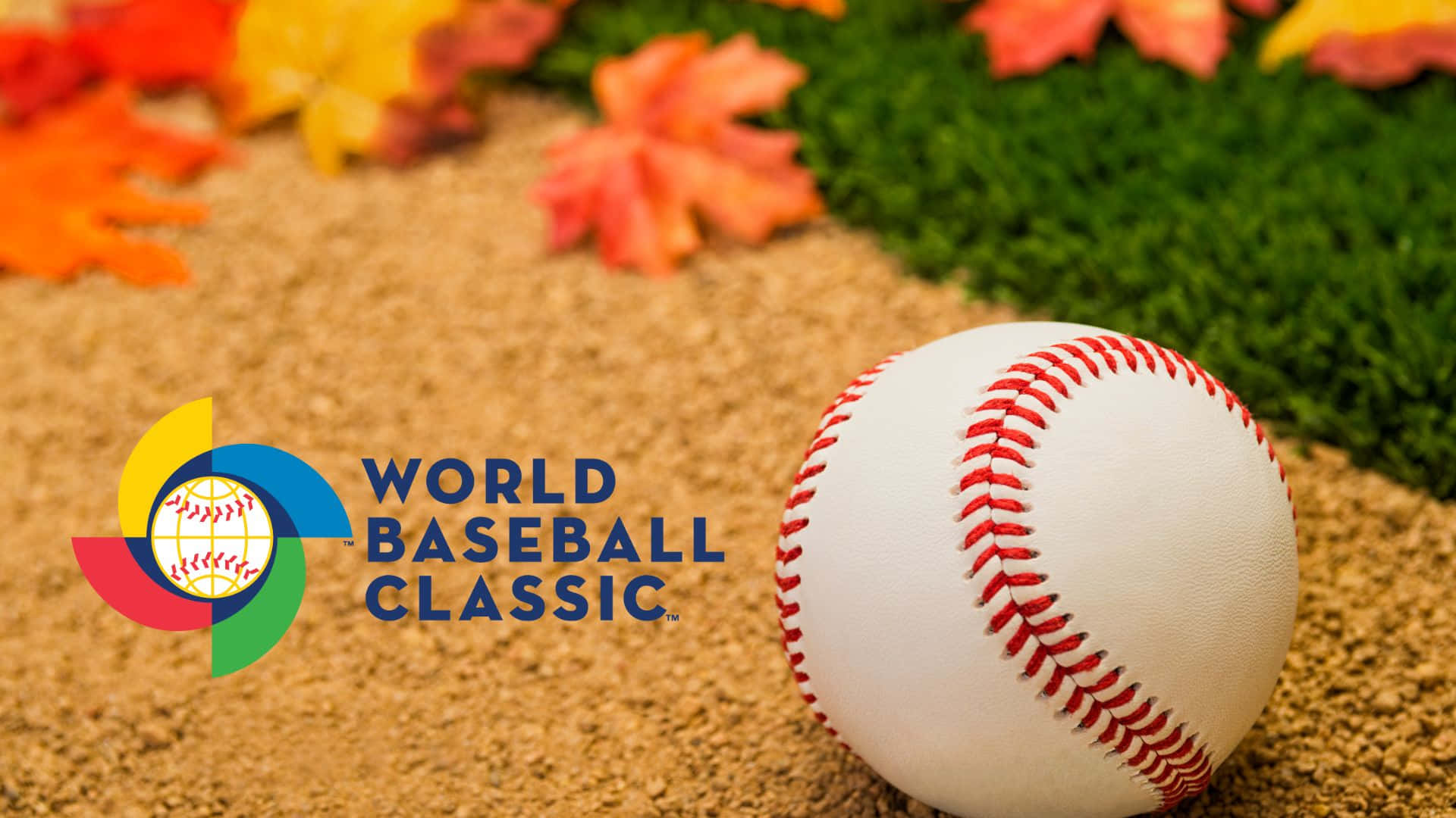 World Baseball Classic, white baseball, red stitching, Full HD Desktop Wallpaper