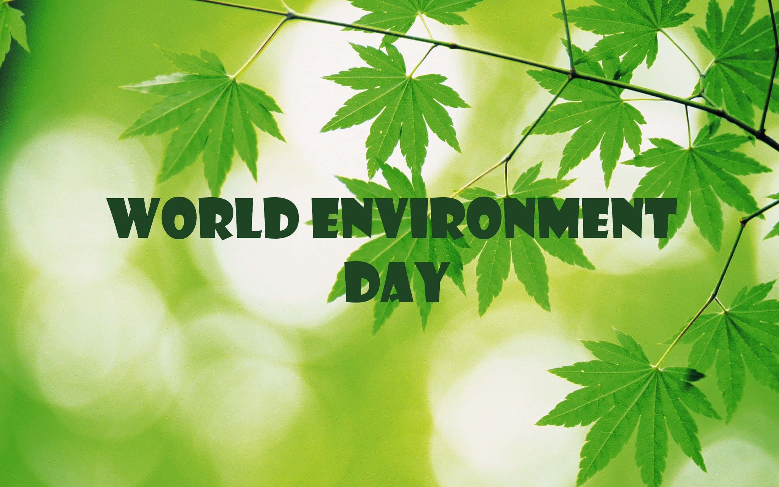 World Environment Day, green maple leaves, bold text, 2K Desktop Wallpaper