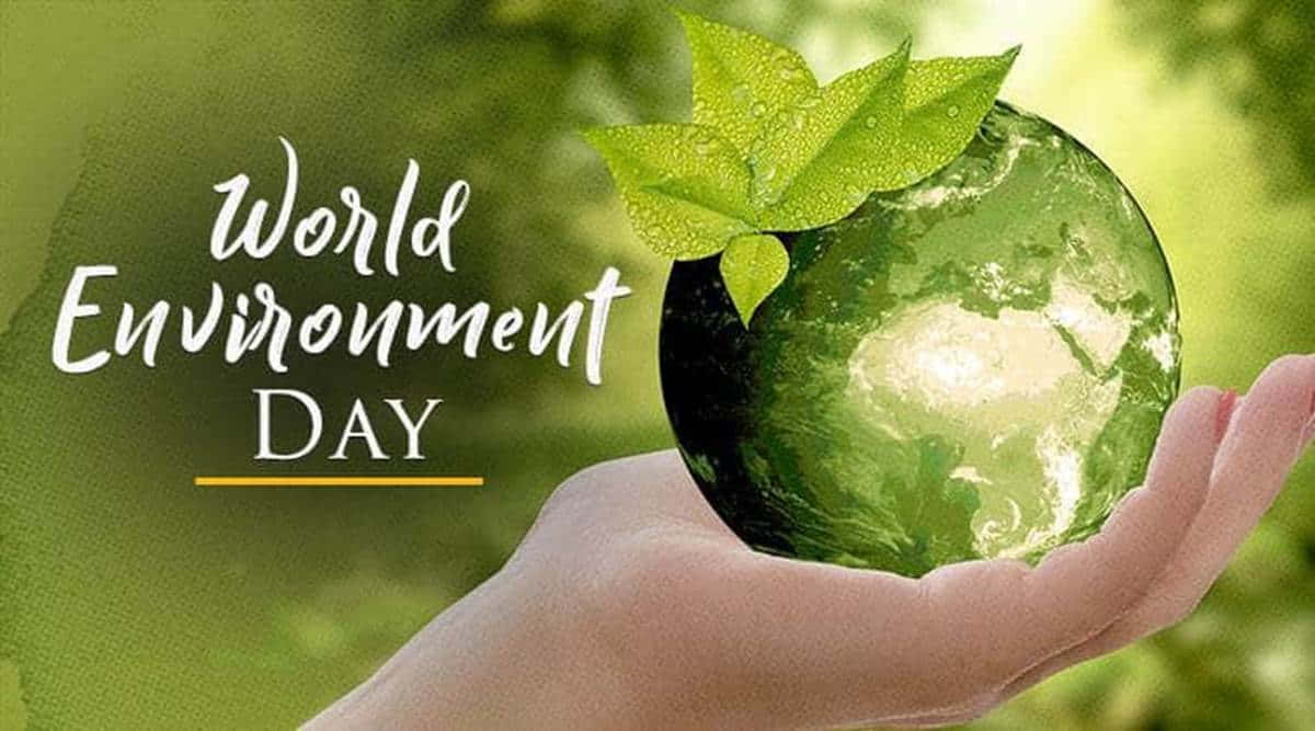 World Environment Day, green Earth globe, dewy leaves, SD Desktop Wallpaper