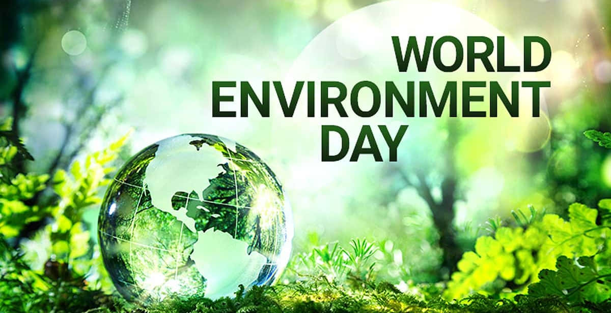 World Environment Day, forest, glass globe, SD Desktop Wallpaper