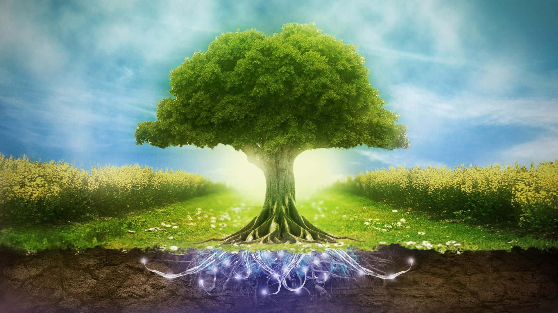 World Environment Day, glowing electric roots, majestic green tree, Full HD Desktop Wallpaper
