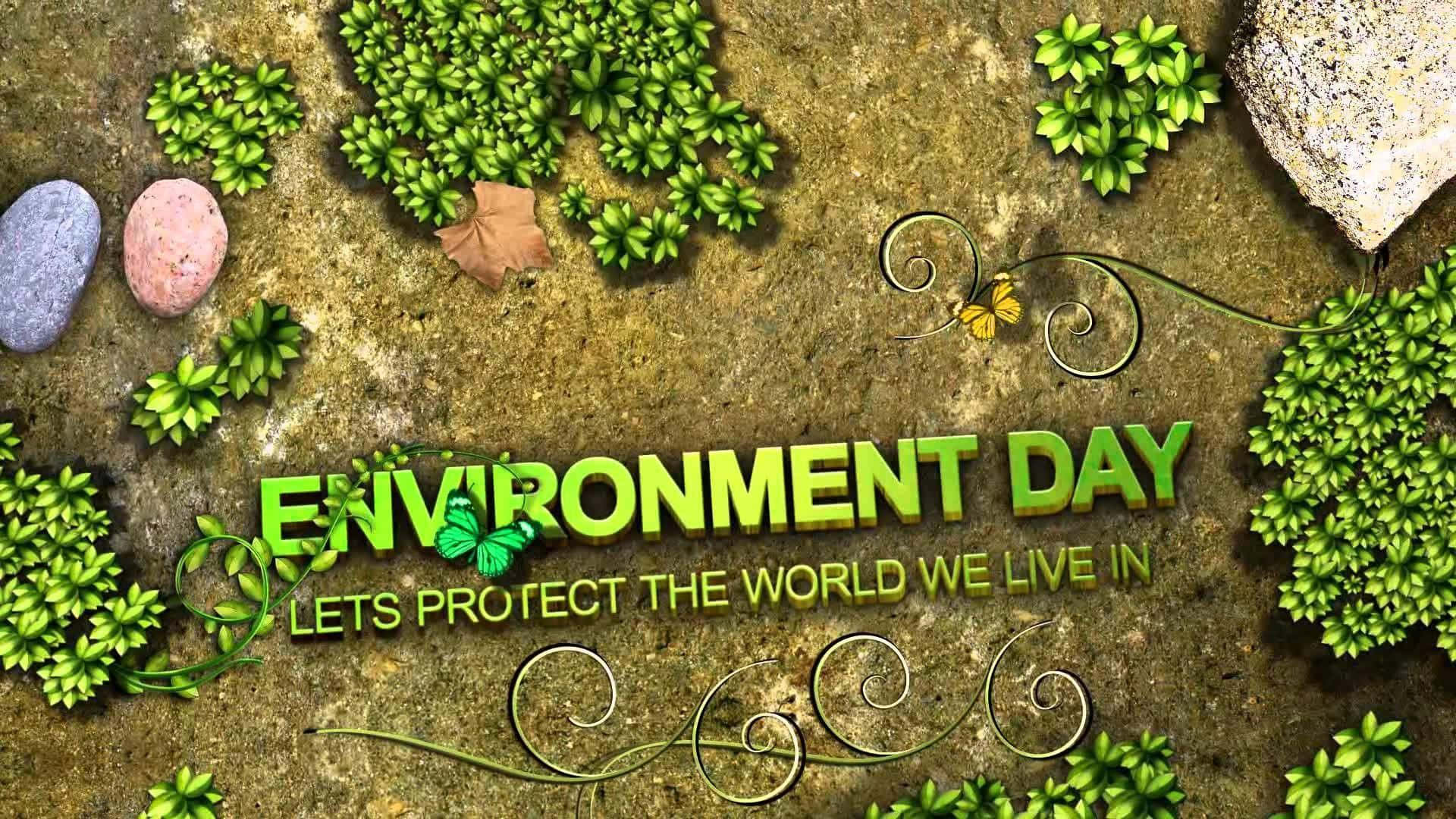World Environment Day, moss stones, butterflies, Full HD Desktop Wallpaper
