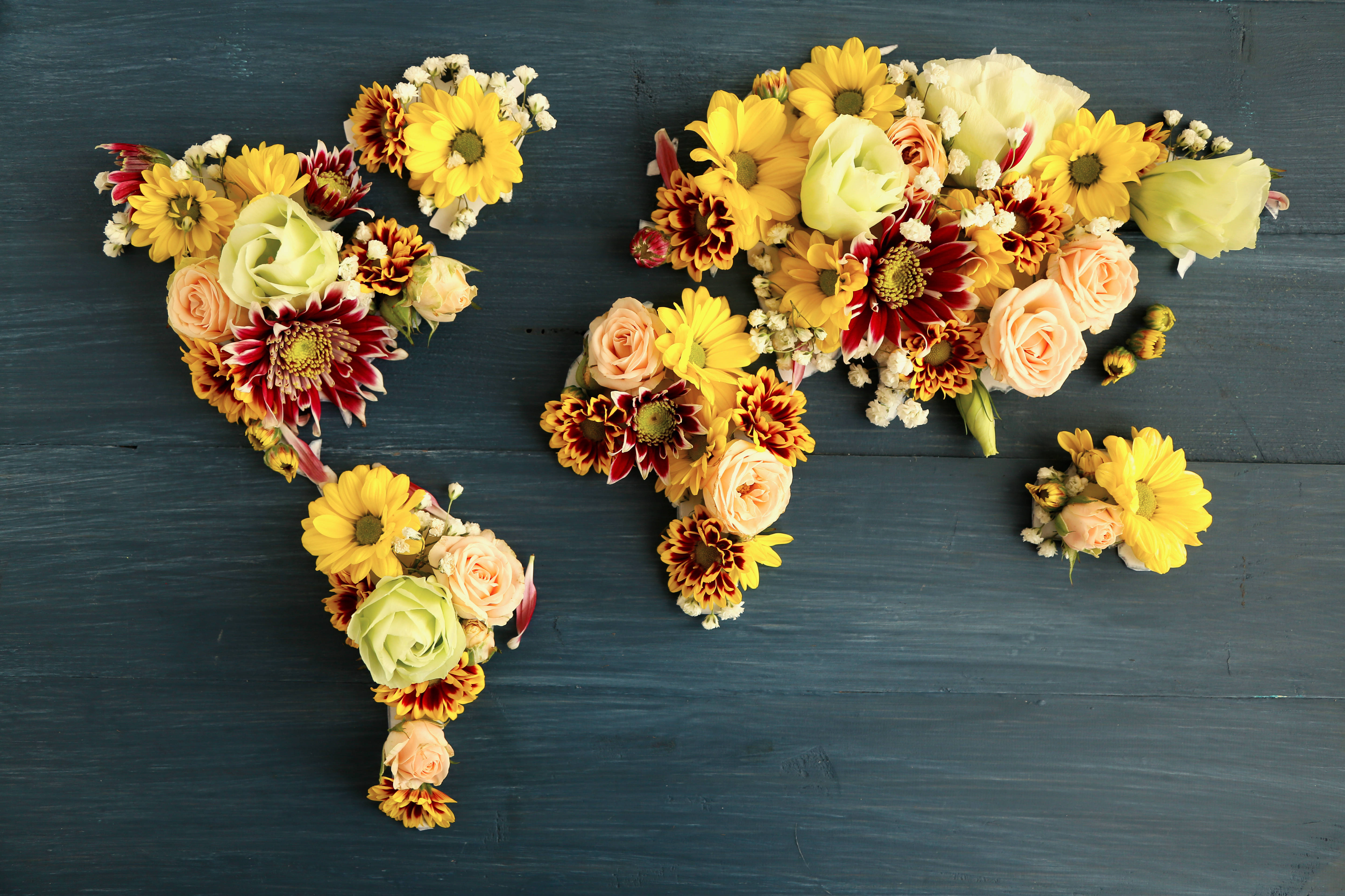 floral world map, sunflowers, roses, 5K Desktop Wallpaper