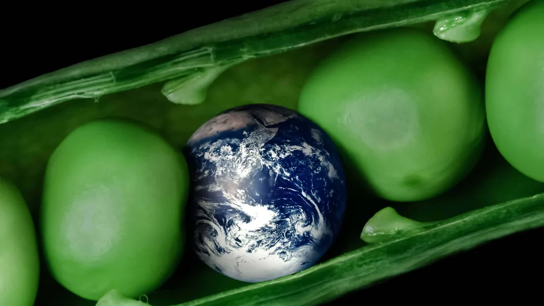 World Vegetarian Day
