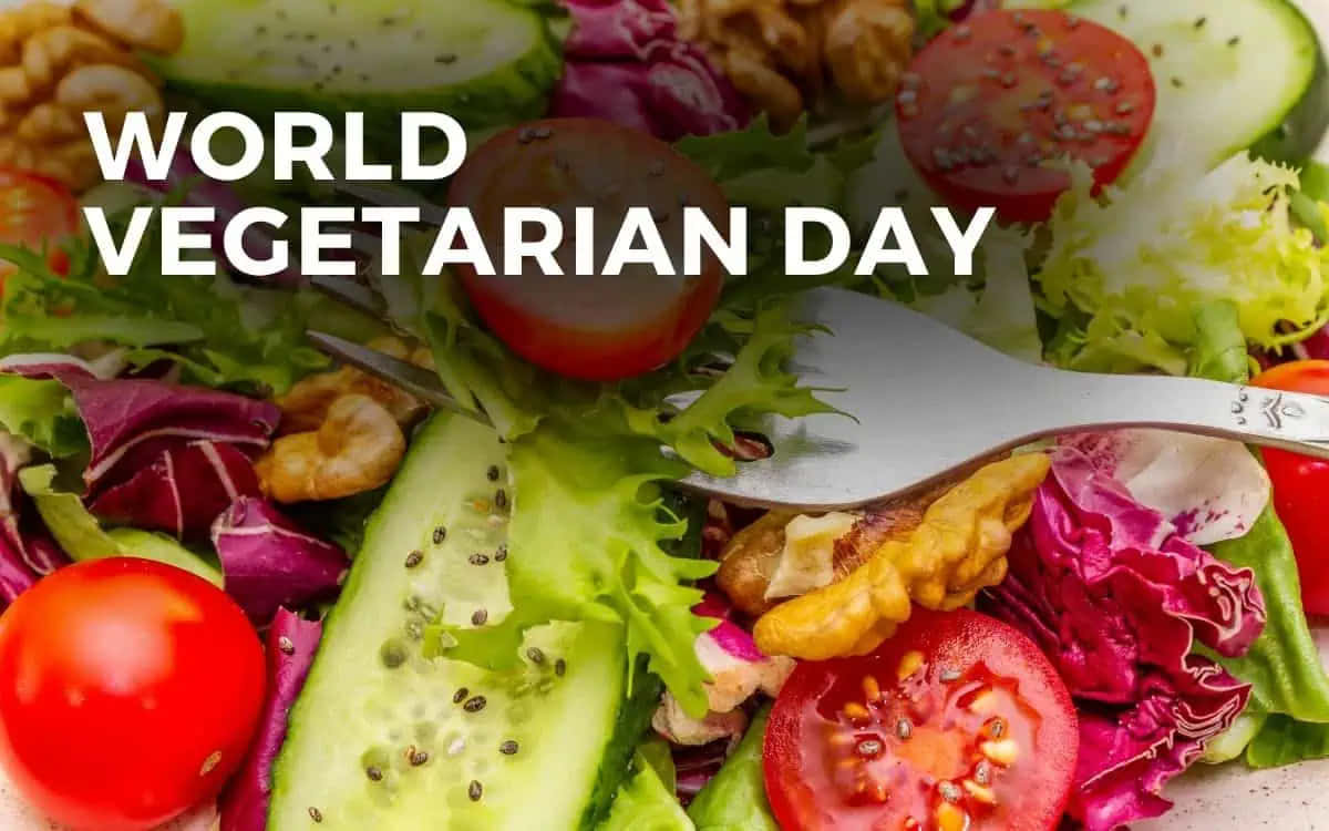 World Vegetarian Day, salad, cherry tomatoes, SD Desktop Wallpaper