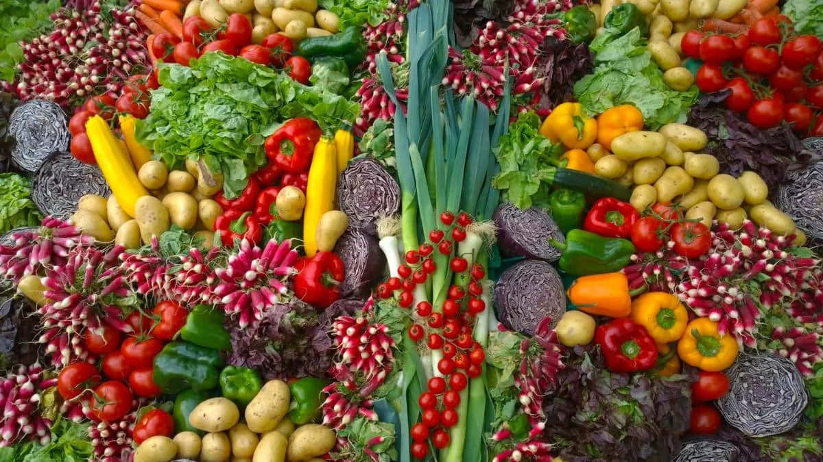 colorful vegetable assortment, World Vegetarian Day, fresh vegetables, SD Desktop Wallpaper