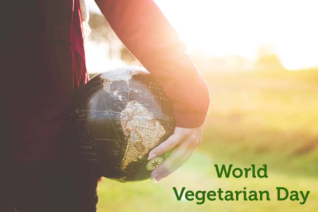 World Vegetarian Day, globe, sunlit field, SD Desktop Wallpaper