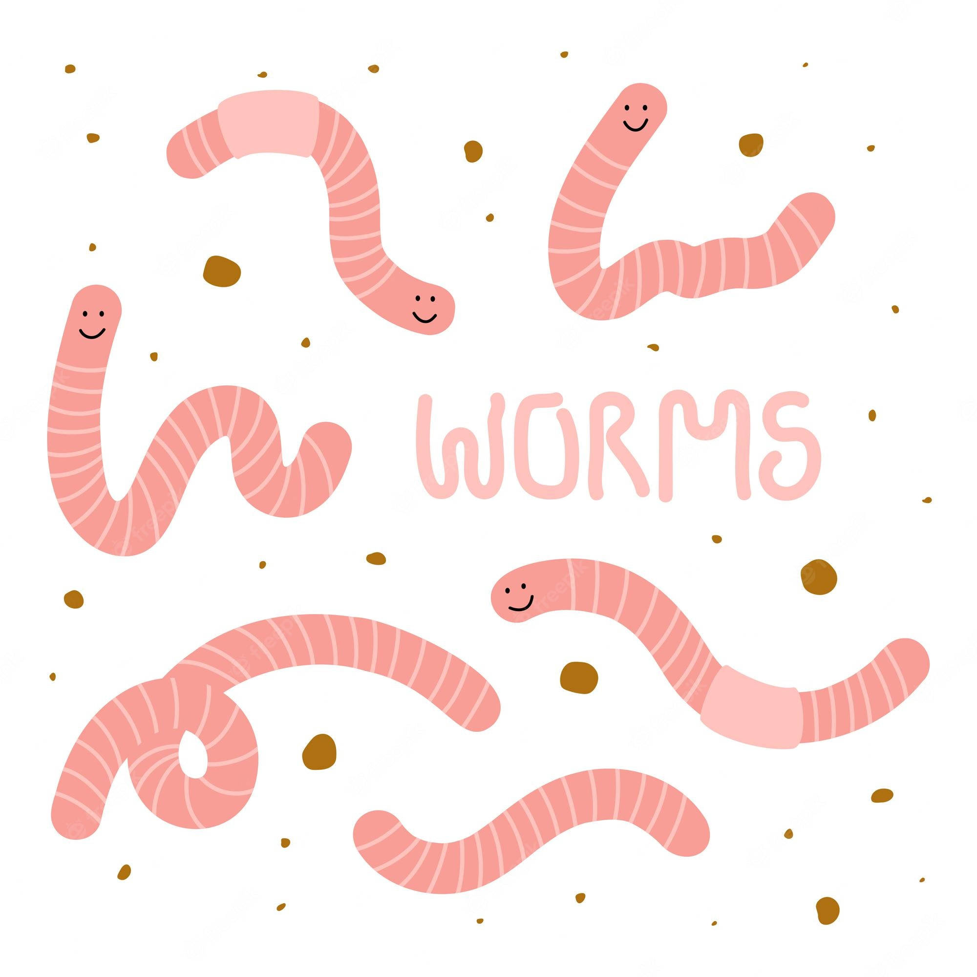 pink and white worm, striped bodies, smiling faces, Full HD Desktop Wallpaper
