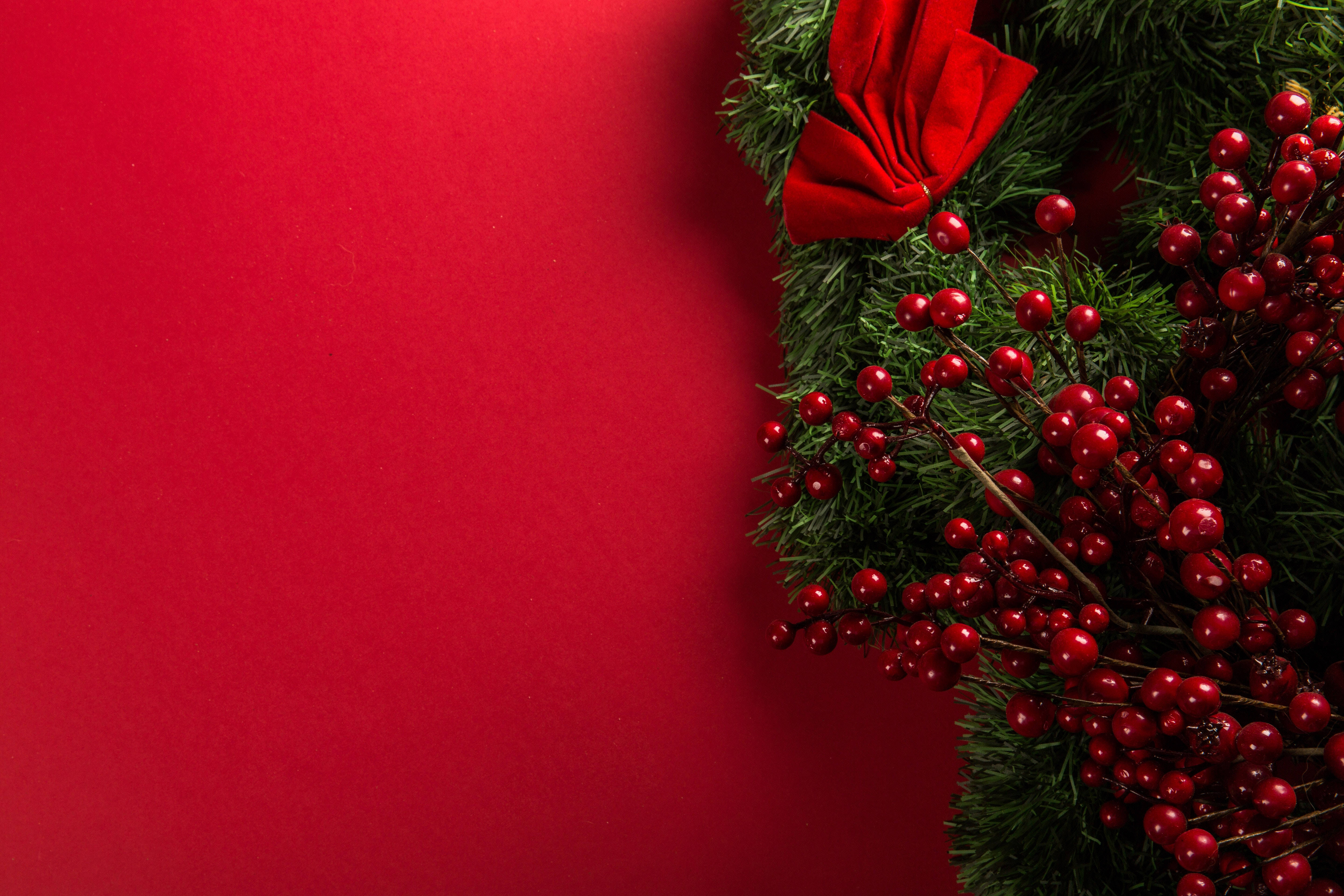 mistletoe, red berries, bow, 5K Desktop Wallpaper
